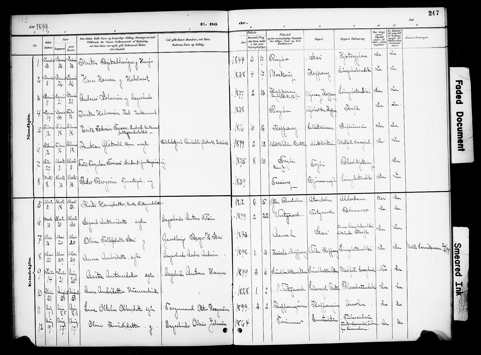 Stor-Elvdal prestekontor, AV/SAH-PREST-052/H/Ha/Hab/L0003: Parish register (copy) no. 3, 1895-1917, p. 247