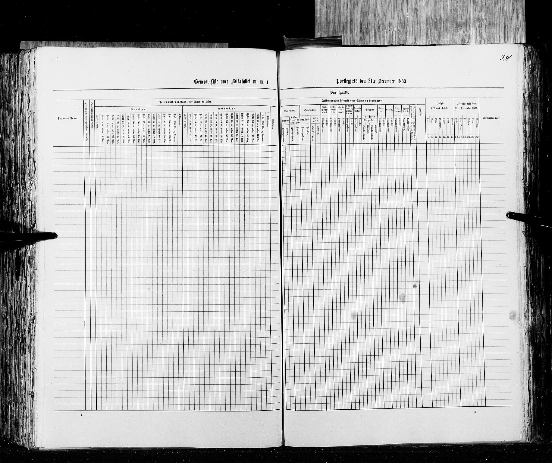 RA, Census 1855, vol. 4: Stavanger amt og Søndre Bergenhus amt, 1855, p. 334