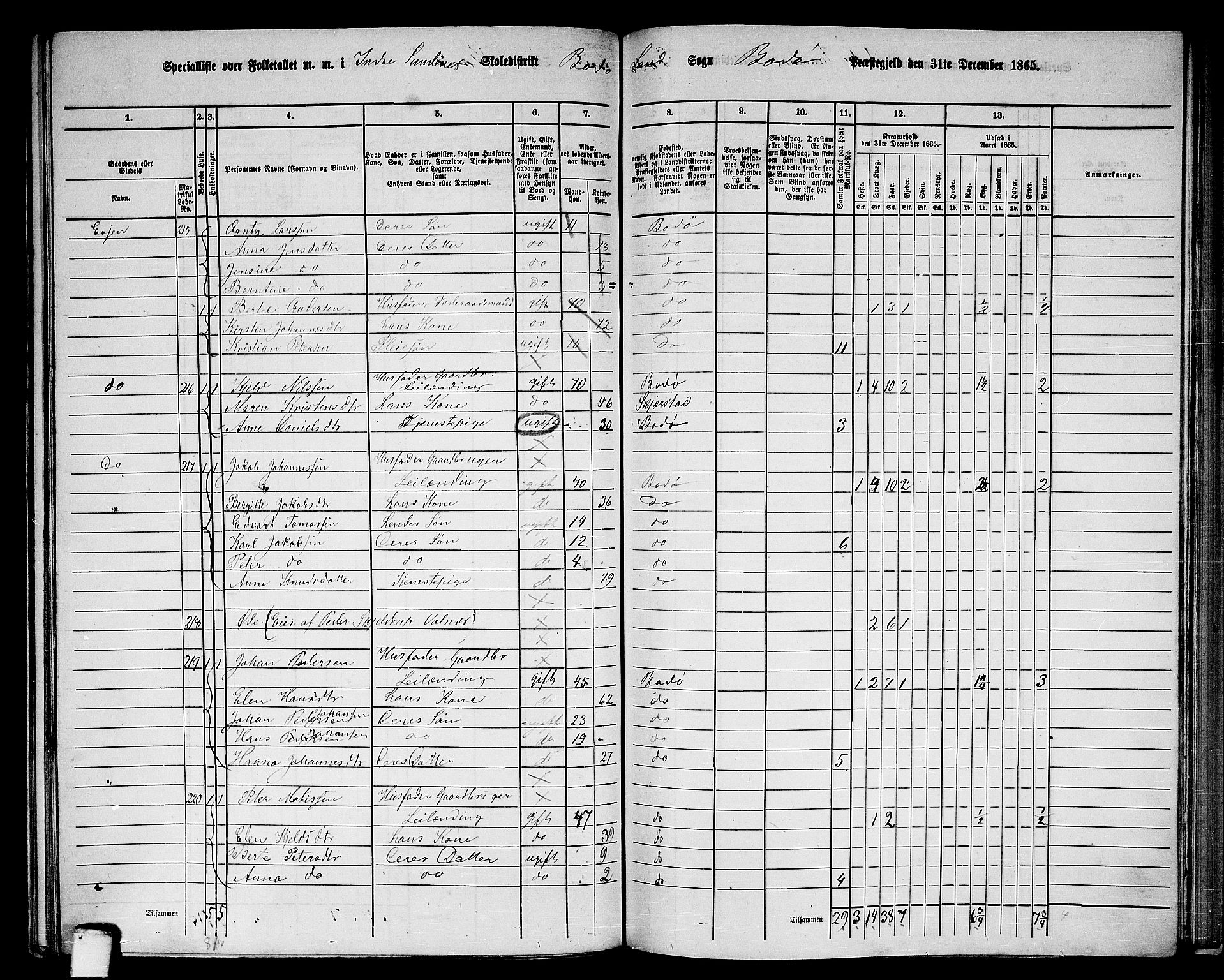 RA, 1865 census for Bodø/Bodø, 1865, p. 127