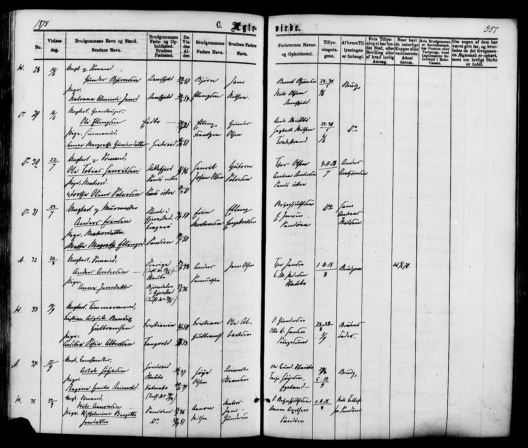 Dypvåg sokneprestkontor, AV/SAK-1111-0007/F/Fa/Faa/L0007: Parish register (official) no. A 7/ 1, 1872-1884, p. 357