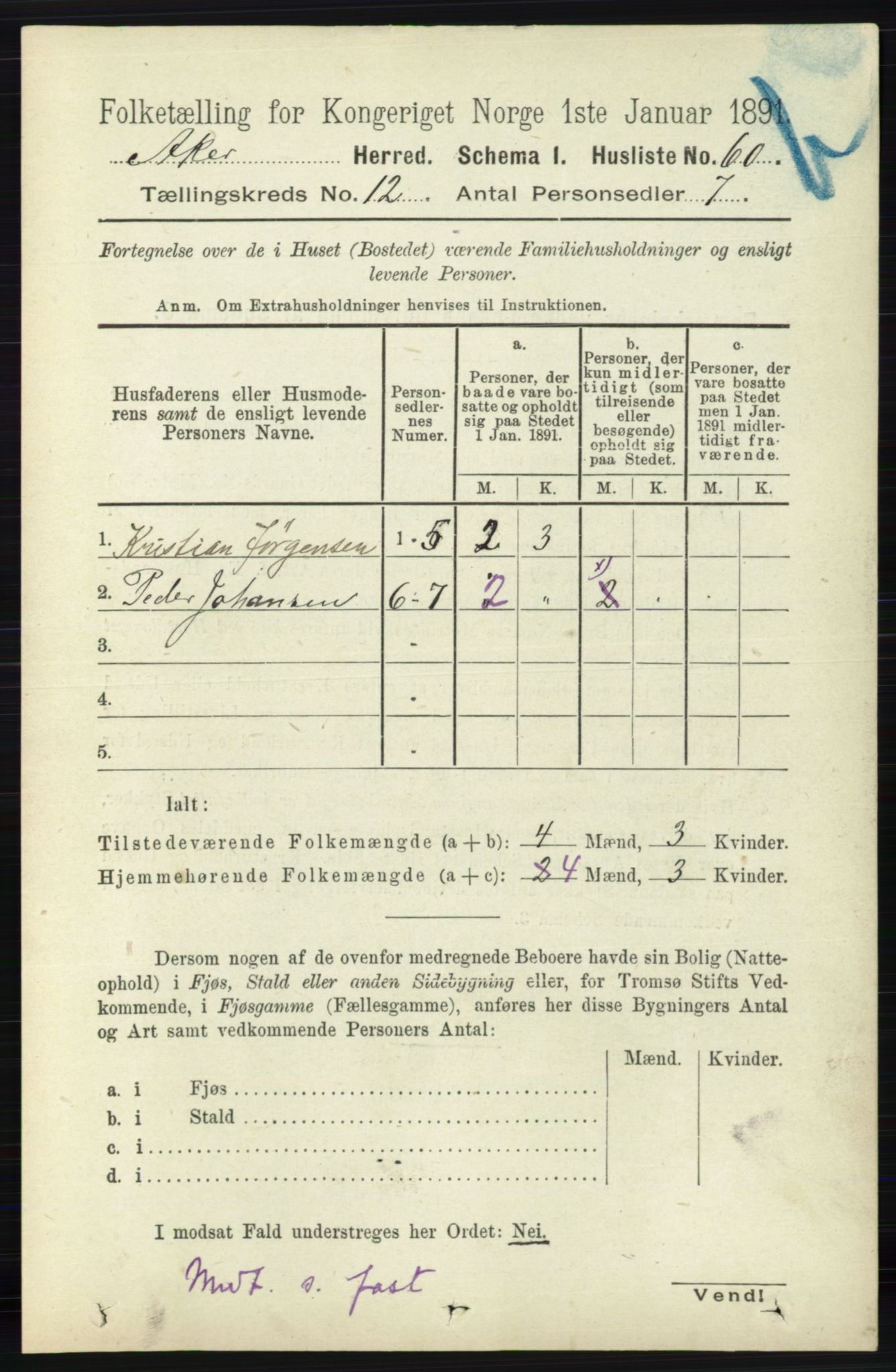 RA, 1891 census for 0218 Aker, 1891, p. 11394