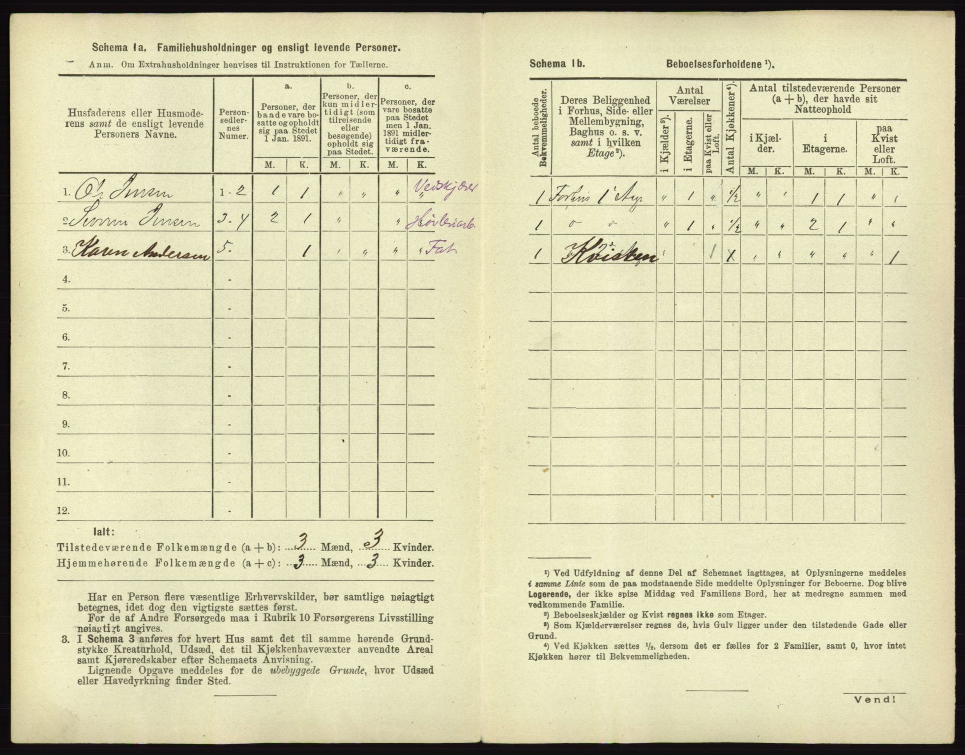 RA, 1891 census for 0101 Fredrikshald, 1891, p. 1041