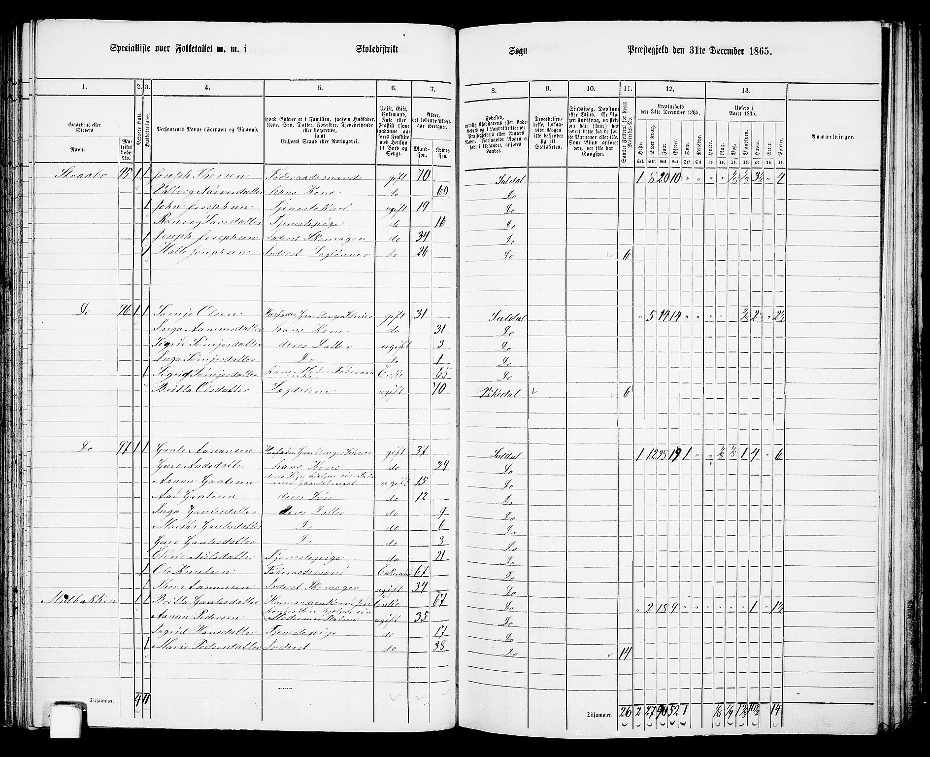 RA, 1865 census for Suldal, 1865, p. 63