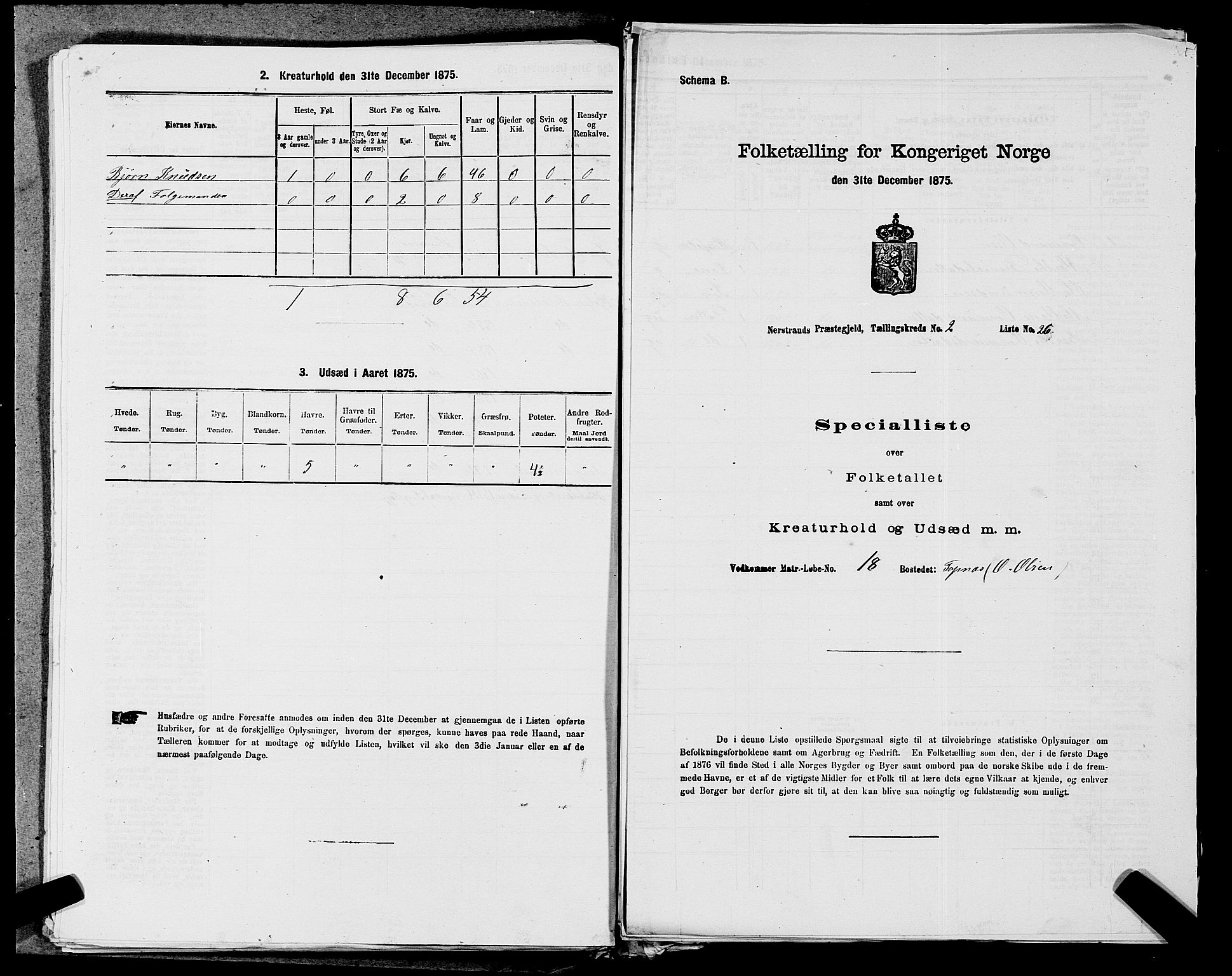 SAST, 1875 census for 1139P Nedstrand, 1875, p. 601