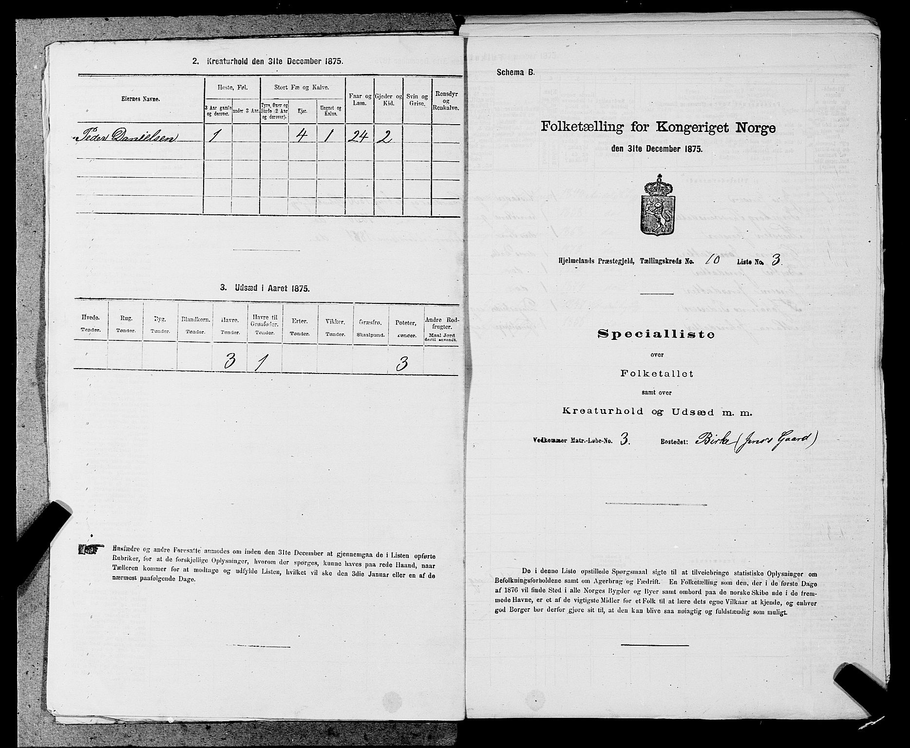 SAST, 1875 census for 1133P Hjelmeland, 1875, p. 1215