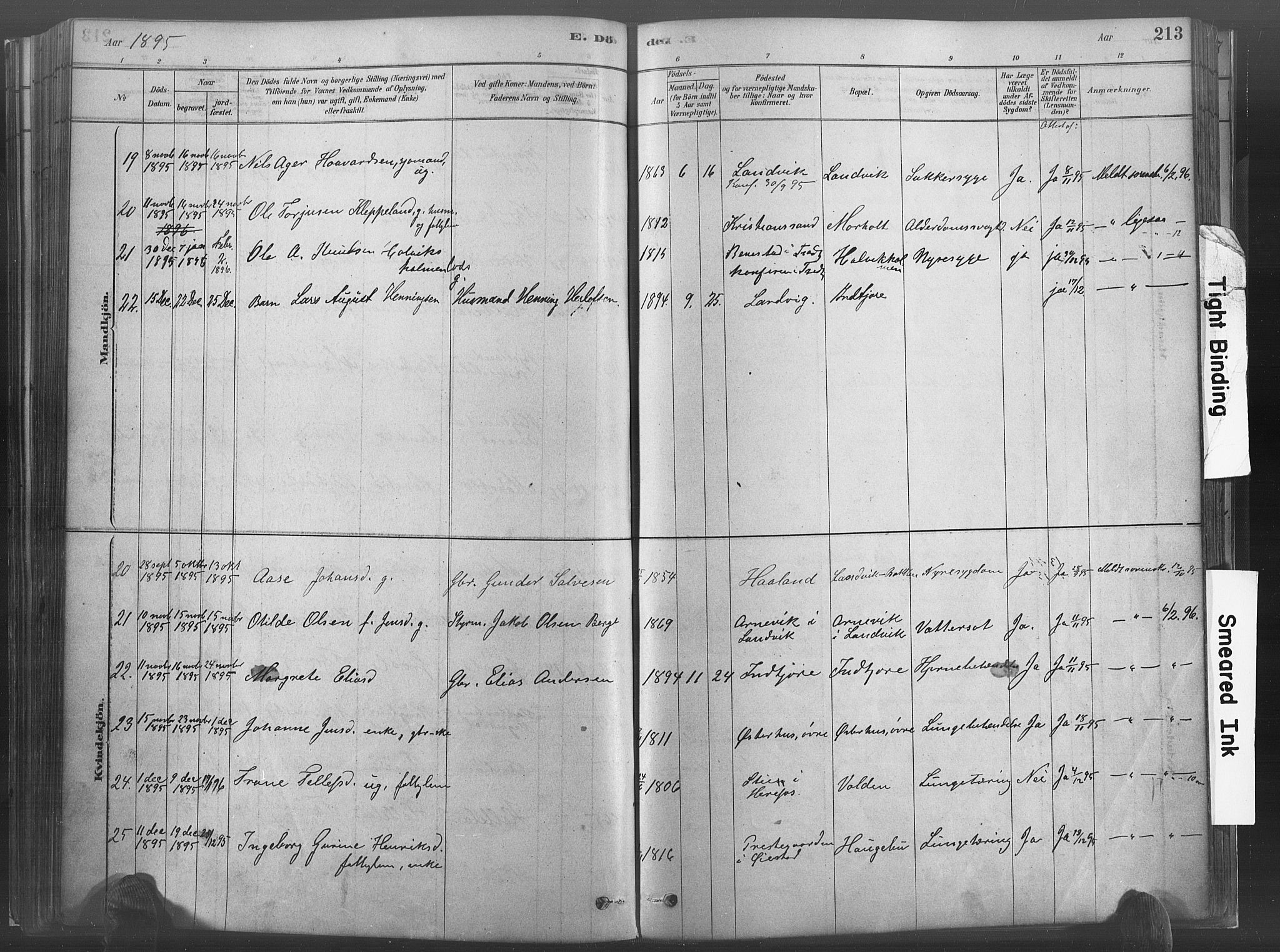 Hommedal sokneprestkontor, AV/SAK-1111-0023/F/Fa/Fab/L0006: Parish register (official) no. A 6, 1878-1897, p. 213