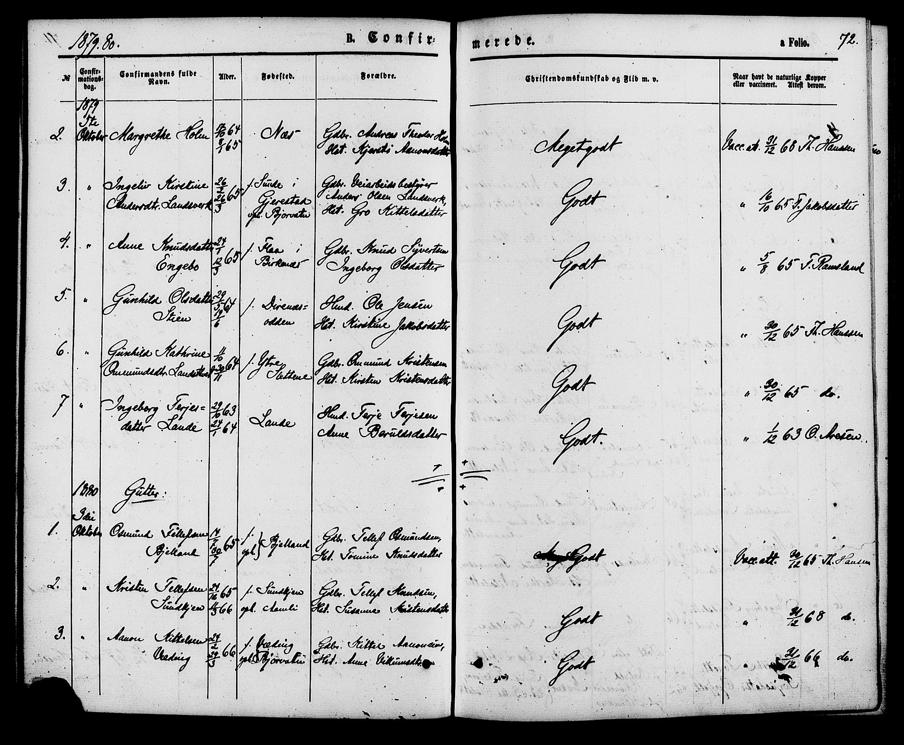 Herefoss sokneprestkontor, AV/SAK-1111-0019/F/Fa/Faa/L0002: Parish register (official) no. A 2, 1861-1886, p. 72