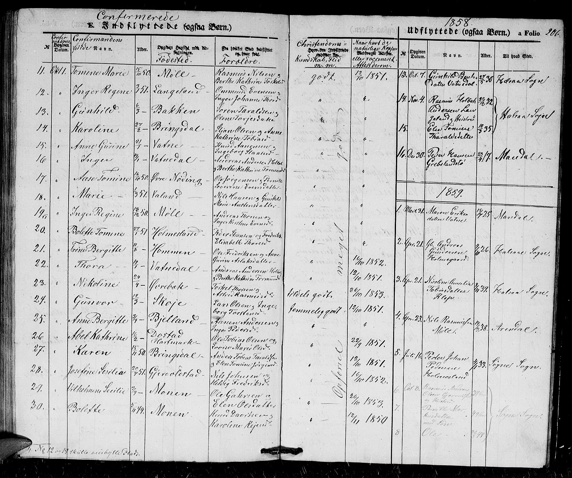 Holum sokneprestkontor, SAK/1111-0022/F/Fb/Fba/L0003: Parish register (copy) no. B 3, 1850-1866, p. 206