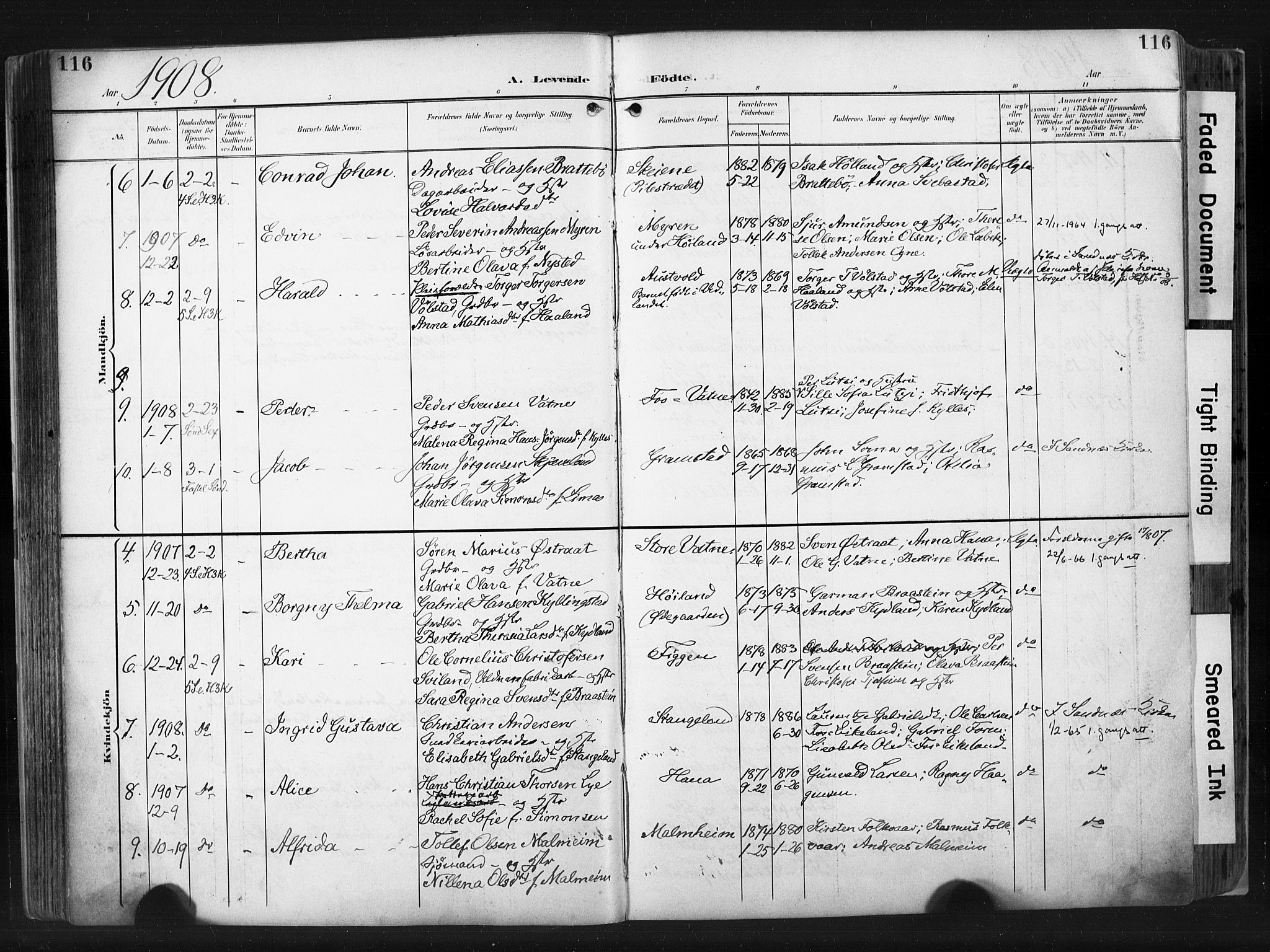 Høyland sokneprestkontor, SAST/A-101799/001/30BA/L0015: Parish register (official) no. A 14, 1899-1911, p. 116