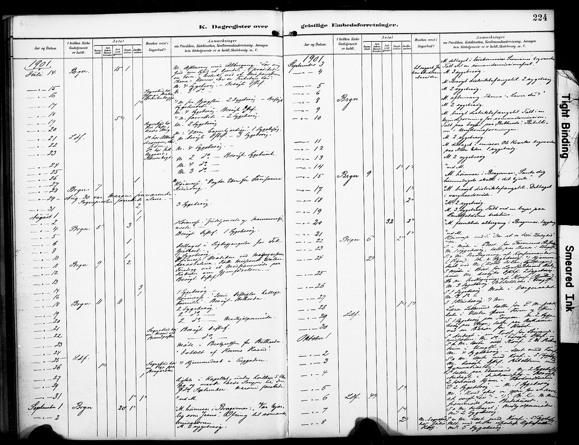 Bragernes kirkebøker, AV/SAKO-A-6/F/Fc/L0006: Parish register (official) no. III 6, 1888-1899, p. 224