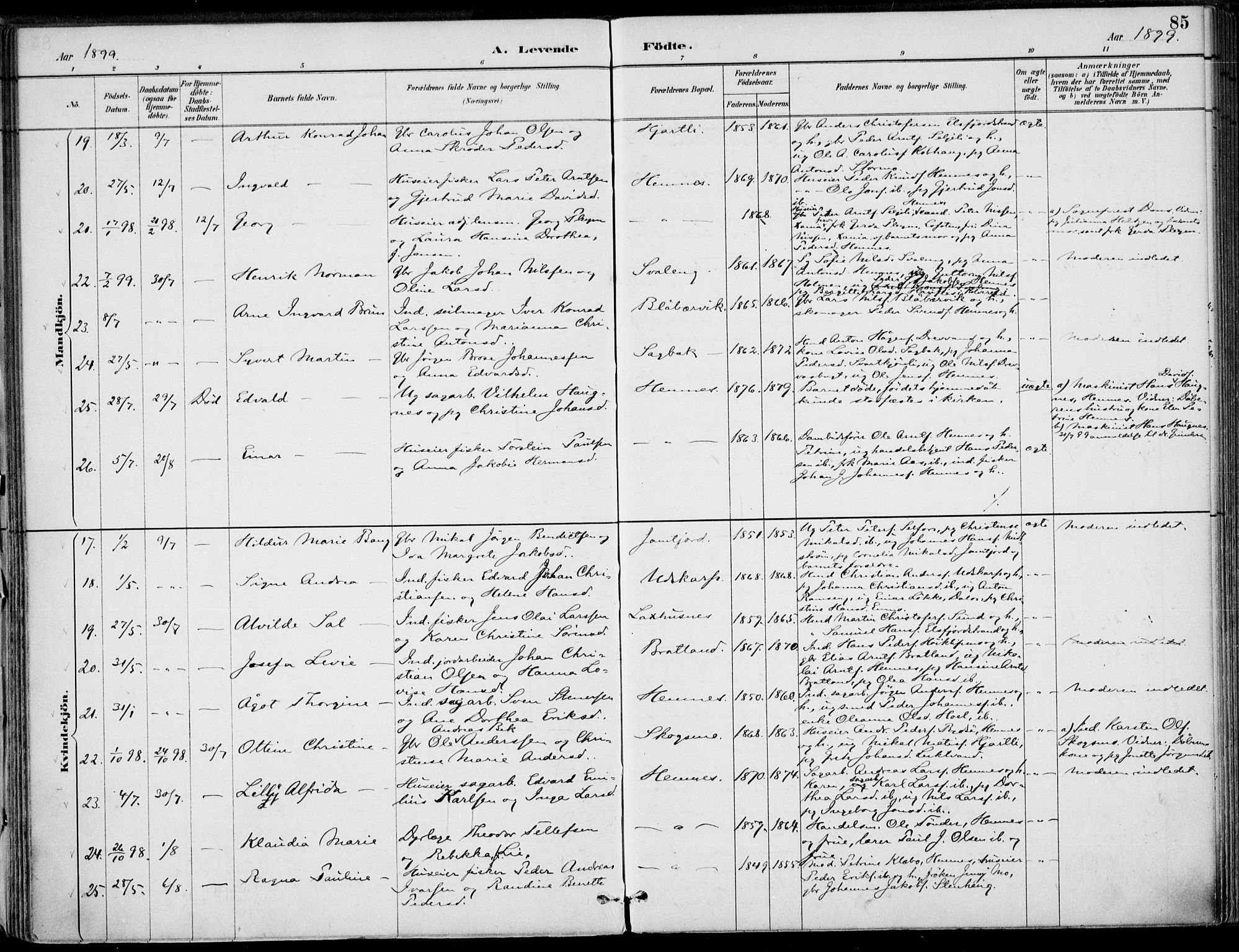 Ministerialprotokoller, klokkerbøker og fødselsregistre - Nordland, AV/SAT-A-1459/825/L0362: Parish register (official) no. 825A16, 1886-1908, p. 85