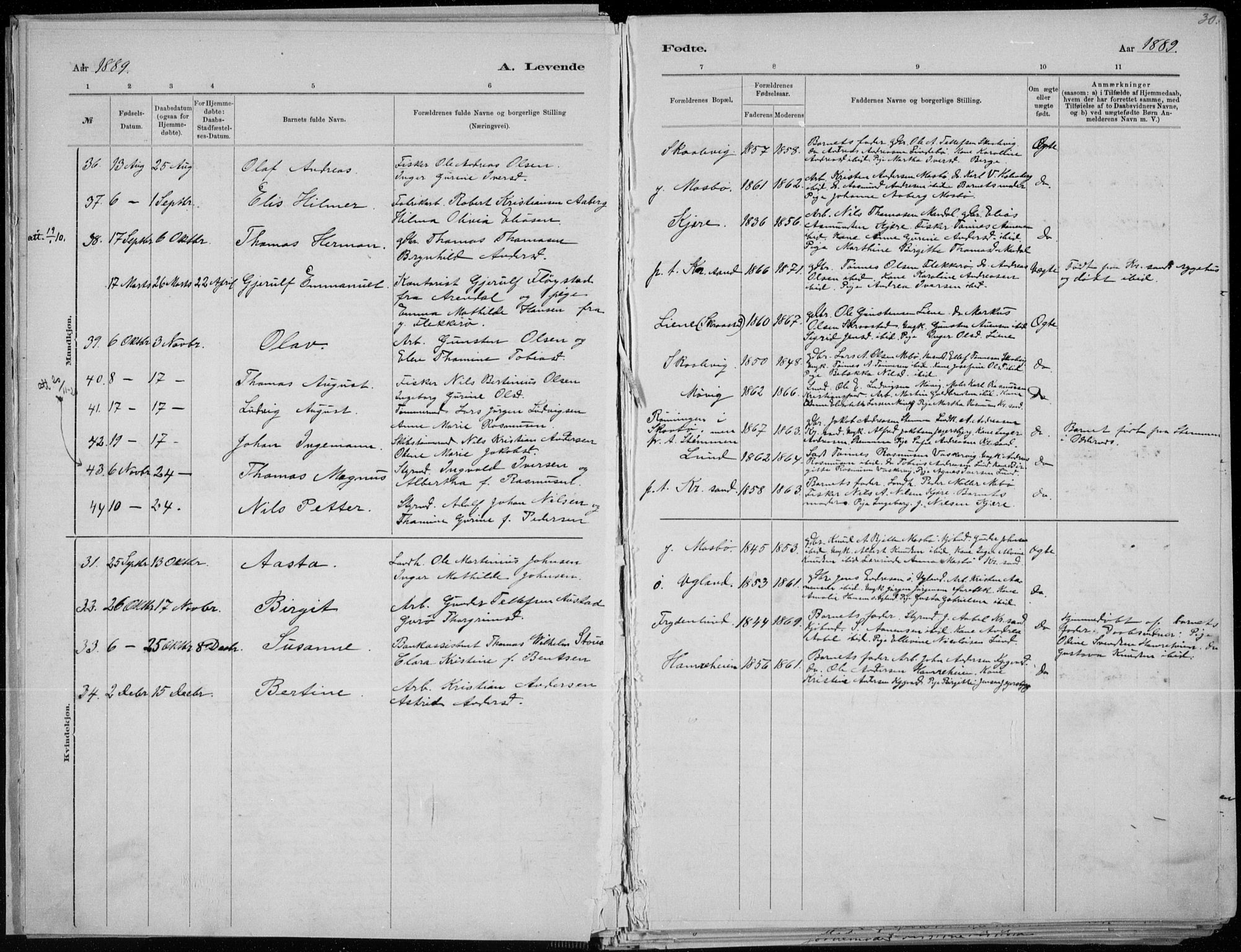 Oddernes sokneprestkontor, SAK/1111-0033/F/Fa/Faa/L0009: Parish register (official) no. A 9, 1884-1896, p. 31