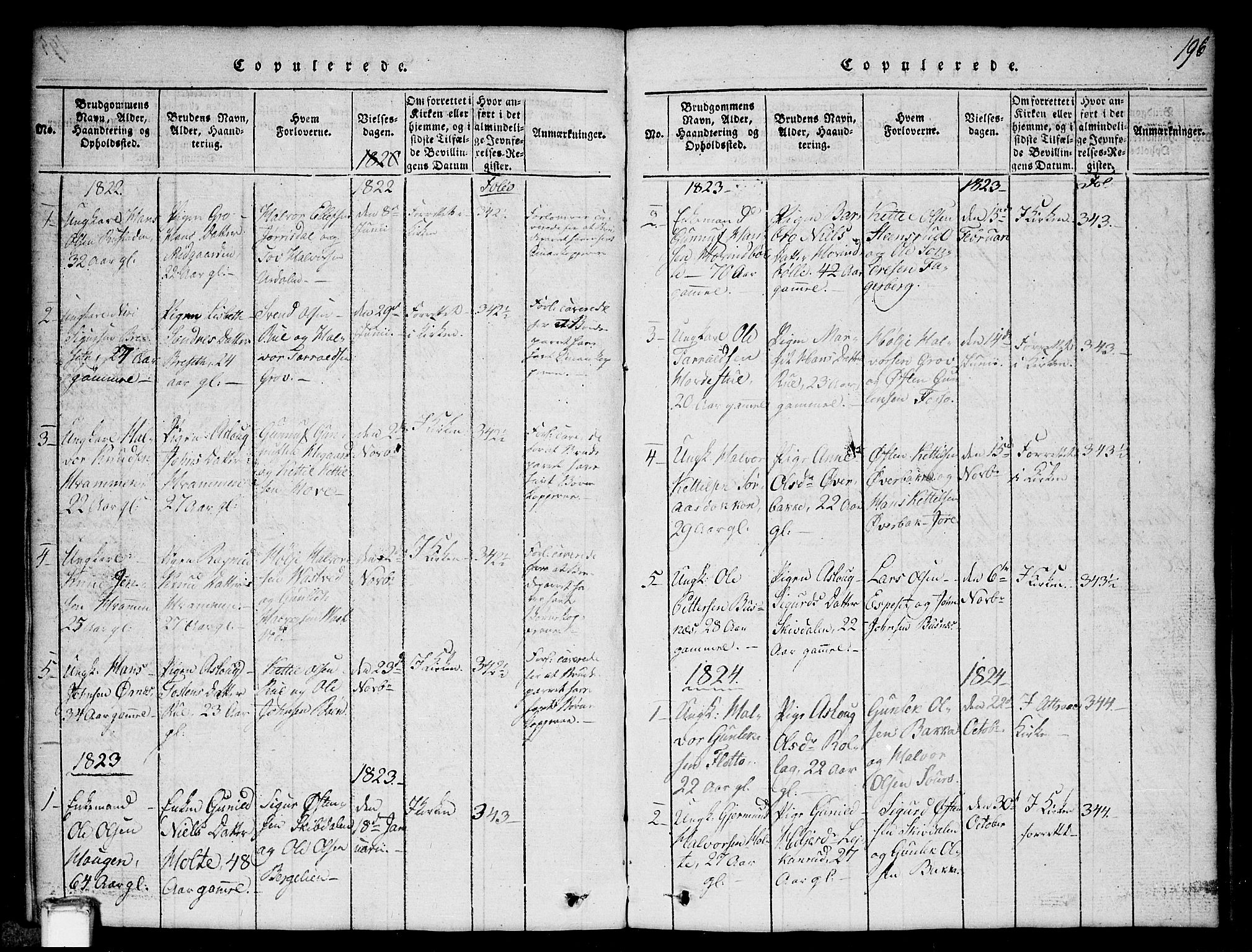 Gransherad kirkebøker, SAKO/A-267/G/Gb/L0001: Parish register (copy) no. II 1, 1815-1860, p. 196