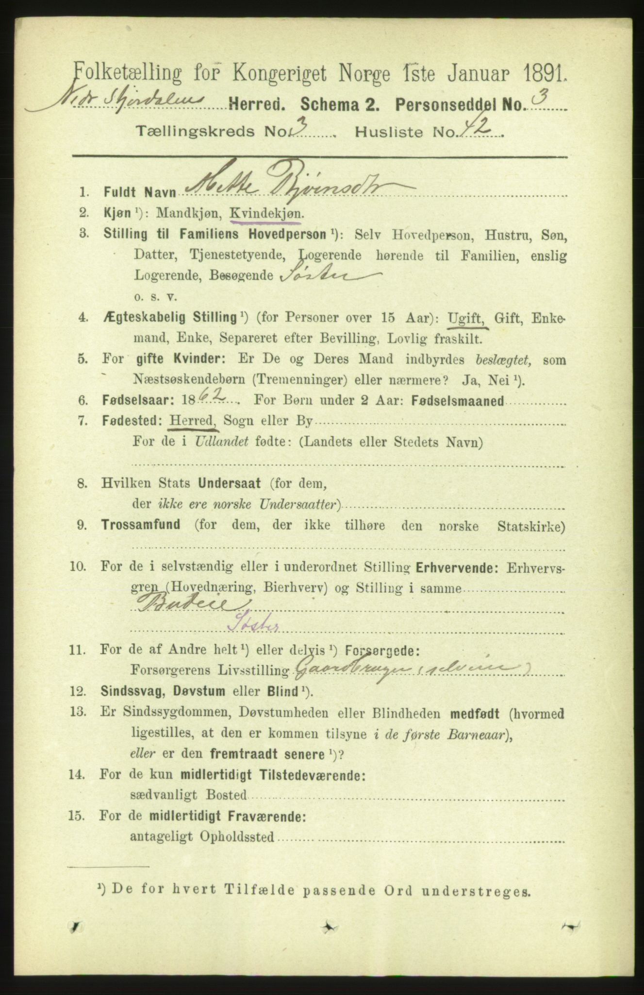 RA, 1891 census for 1714 Nedre Stjørdal, 1891, p. 1303