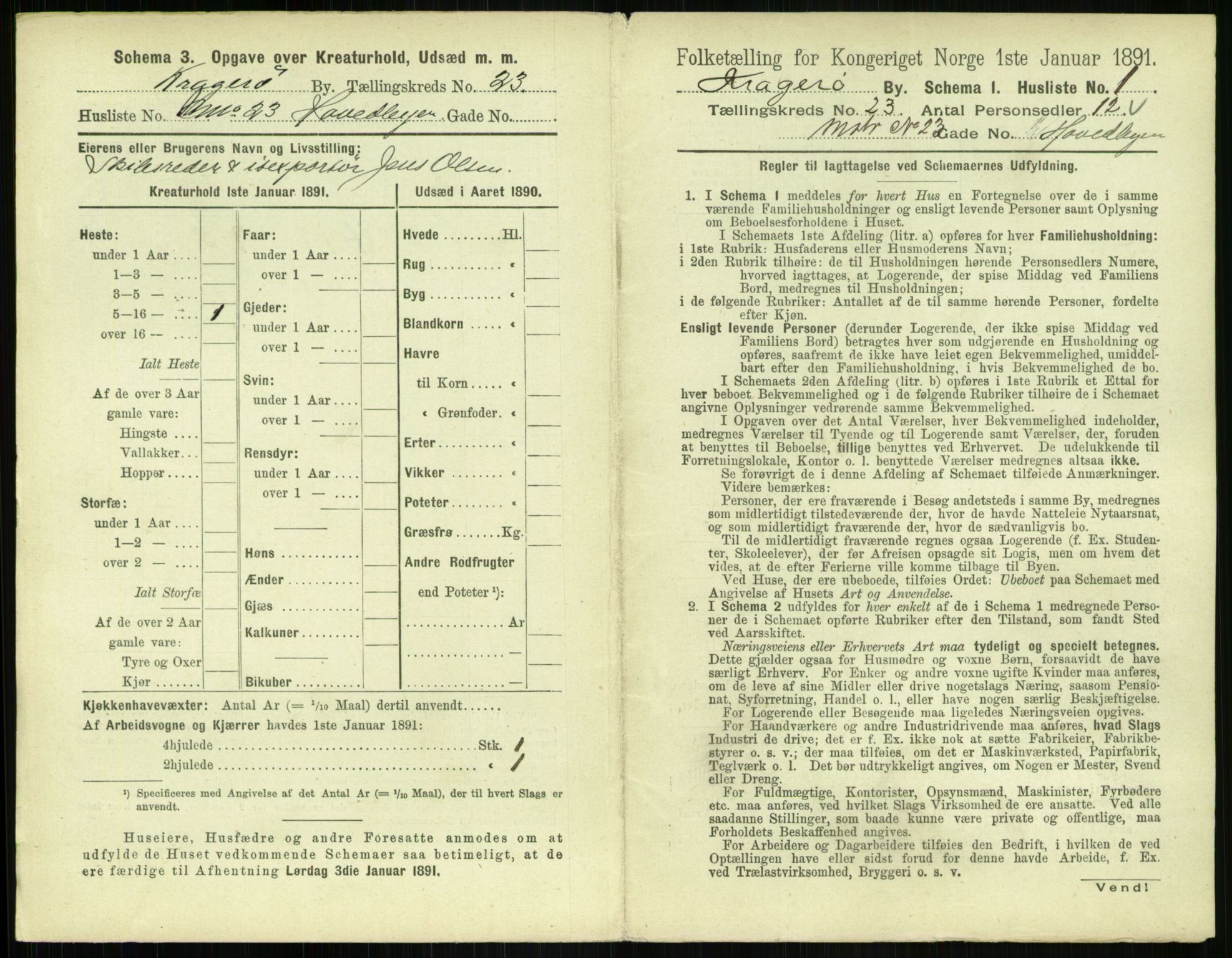 RA, 1891 census for 0801 Kragerø, 1891, p. 884