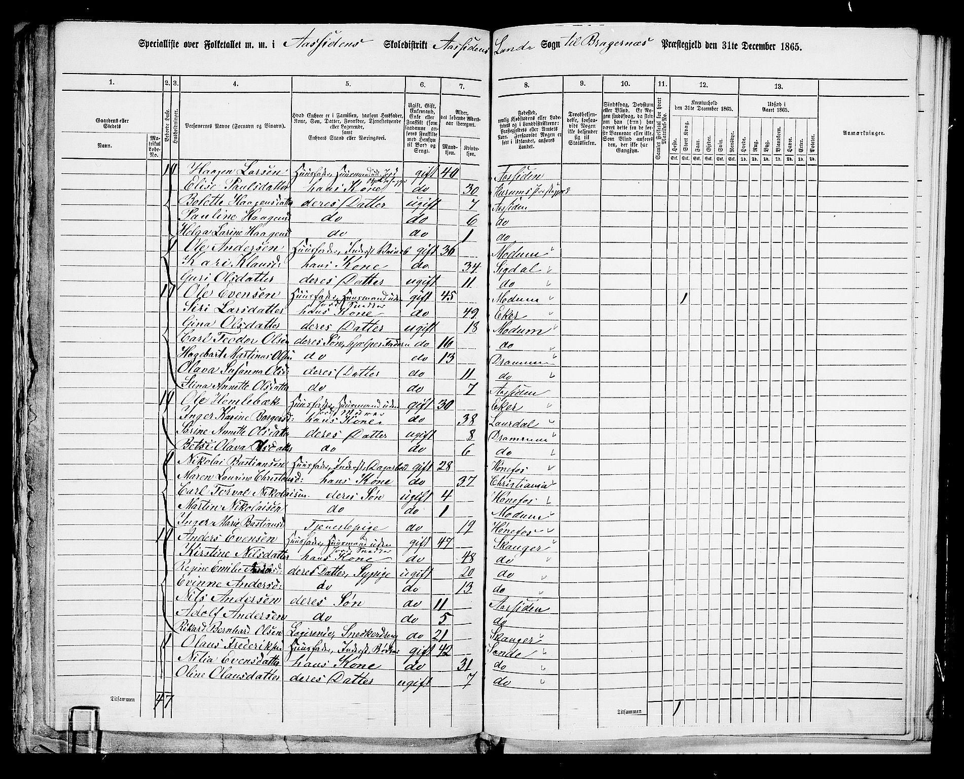 RA, 1865 census for Bragernes/Åssiden, 1865, p. 11