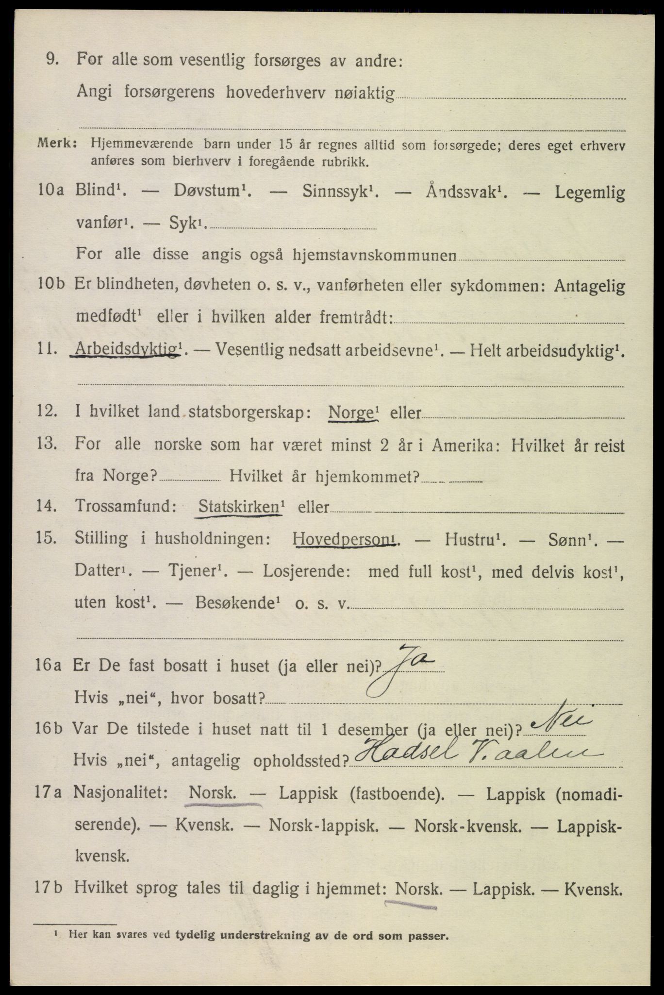 SAT, 1920 census for Bø, 1920, p. 4319