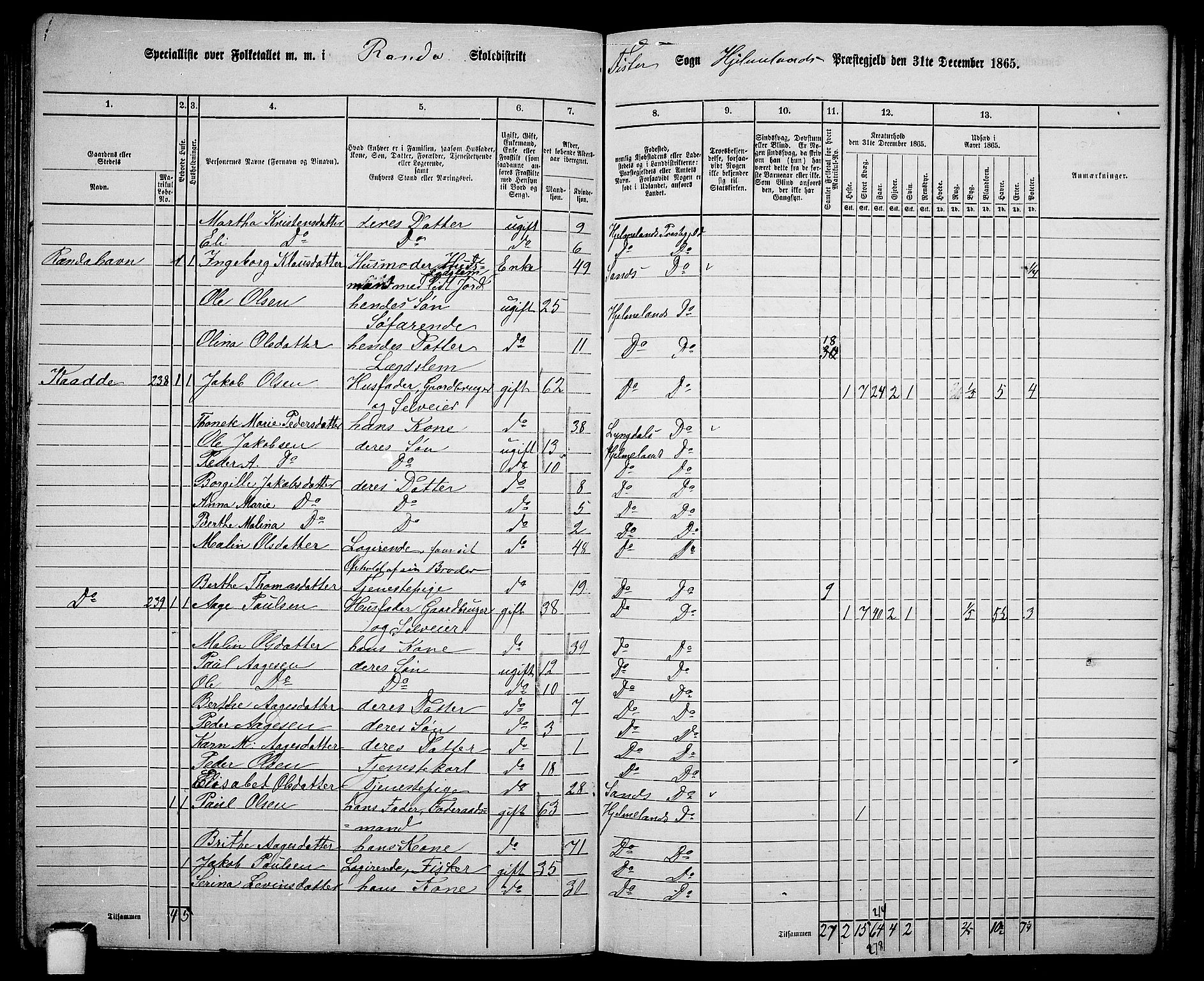 RA, 1865 census for Hjelmeland, 1865, p. 142