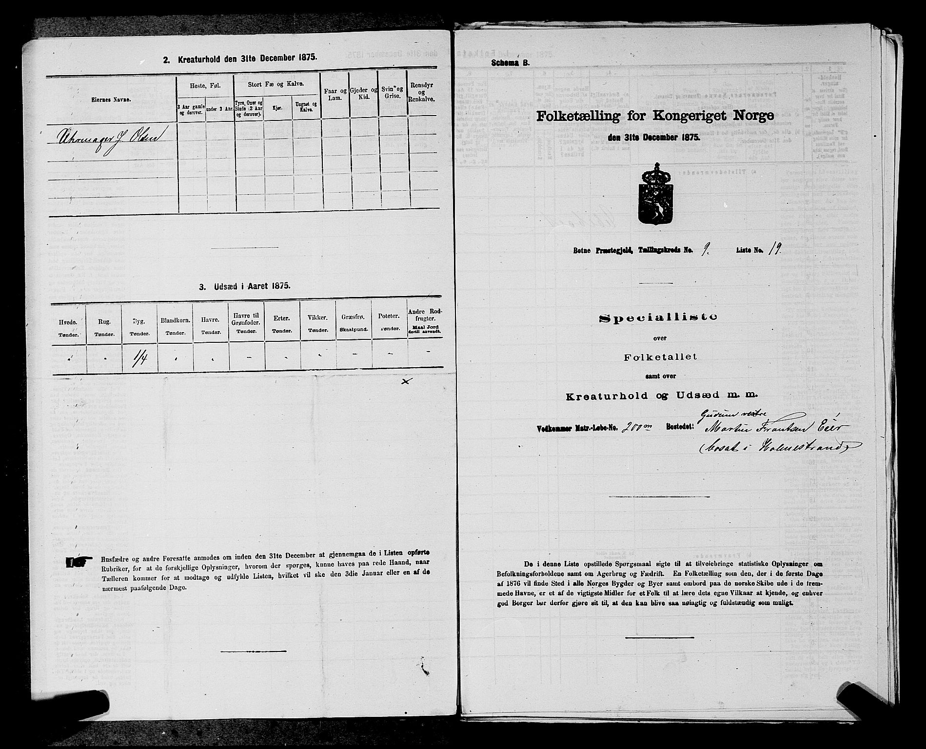 SAKO, 1875 census for 0715P Botne, 1875, p. 707