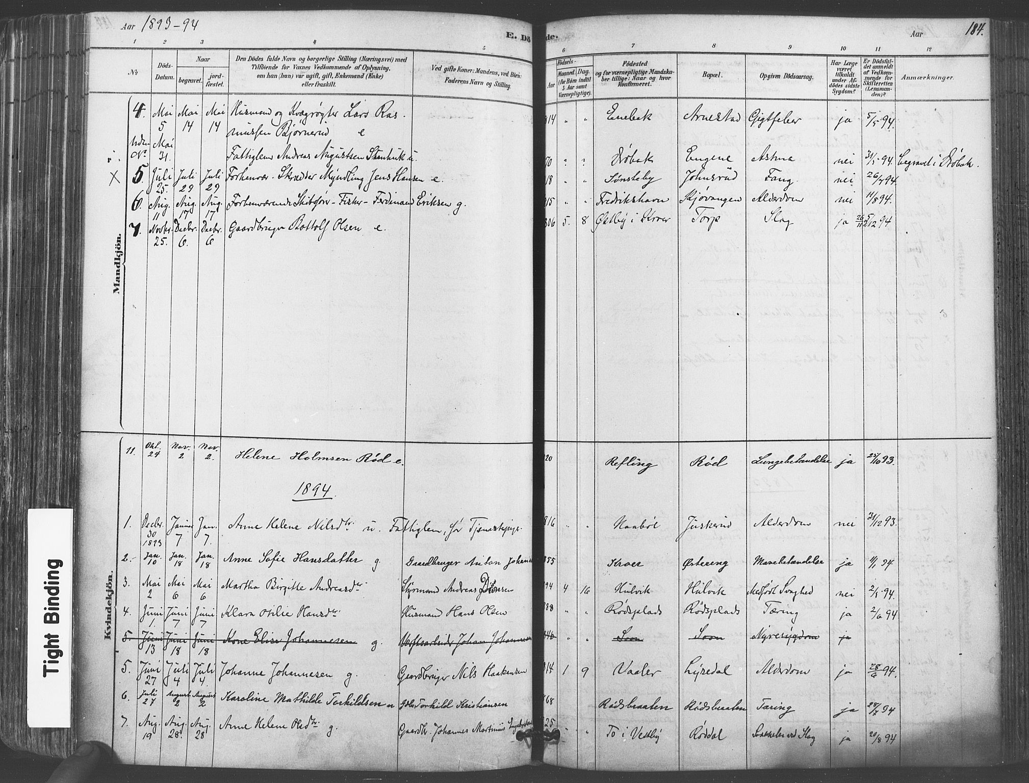 Vestby prestekontor Kirkebøker, AV/SAO-A-10893/F/Fa/L0009: Parish register (official) no. I 9, 1878-1900, p. 184