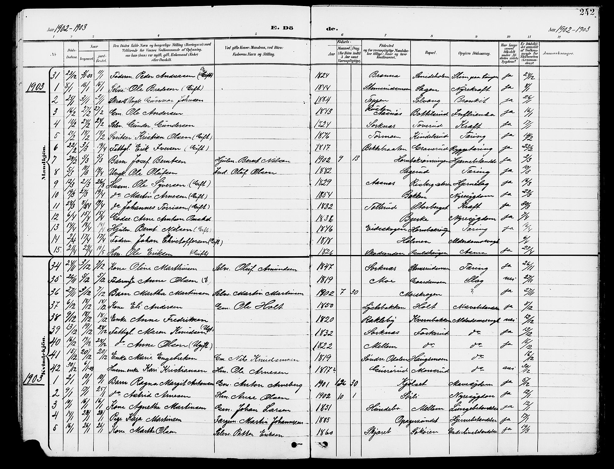 Grue prestekontor, AV/SAH-PREST-036/H/Ha/Hab/L0005: Parish register (copy) no. 5, 1900-1909, p. 242