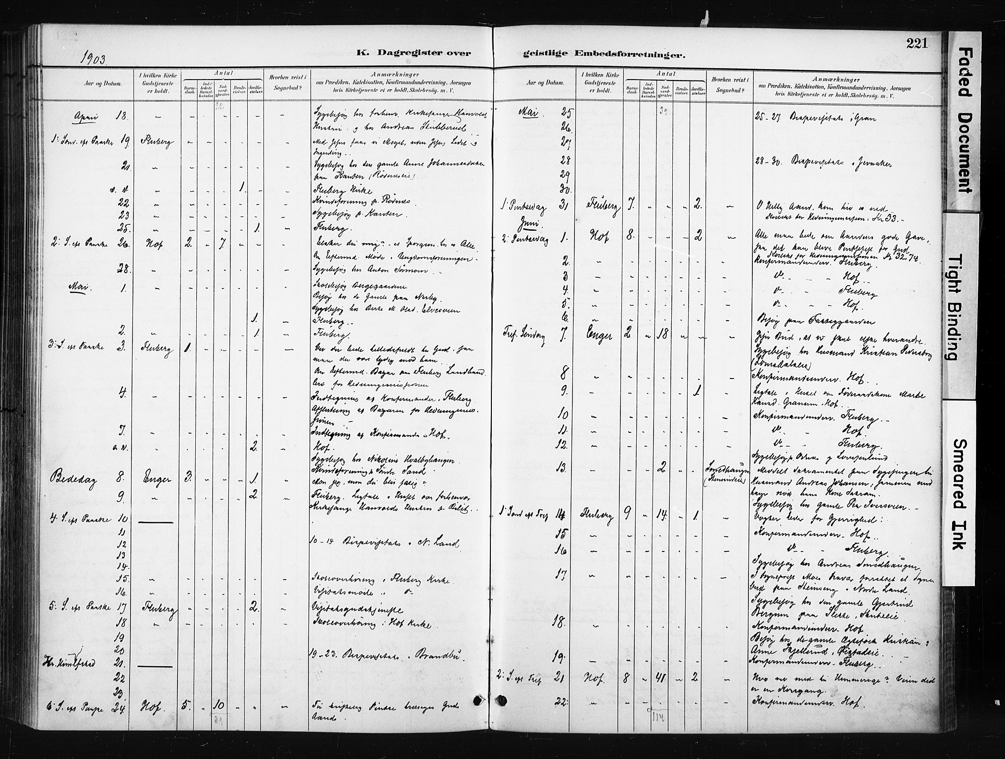 Søndre Land prestekontor, AV/SAH-PREST-122/K/L0004: Parish register (official) no. 4, 1895-1904, p. 221