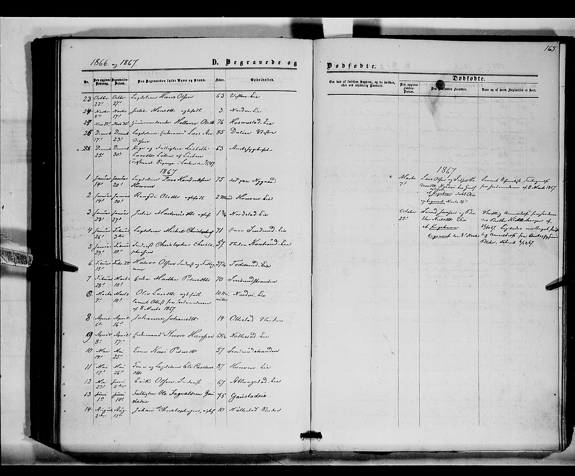 Stange prestekontor, SAH/PREST-002/K/L0015: Parish register (official) no. 15, 1862-1879, p. 165