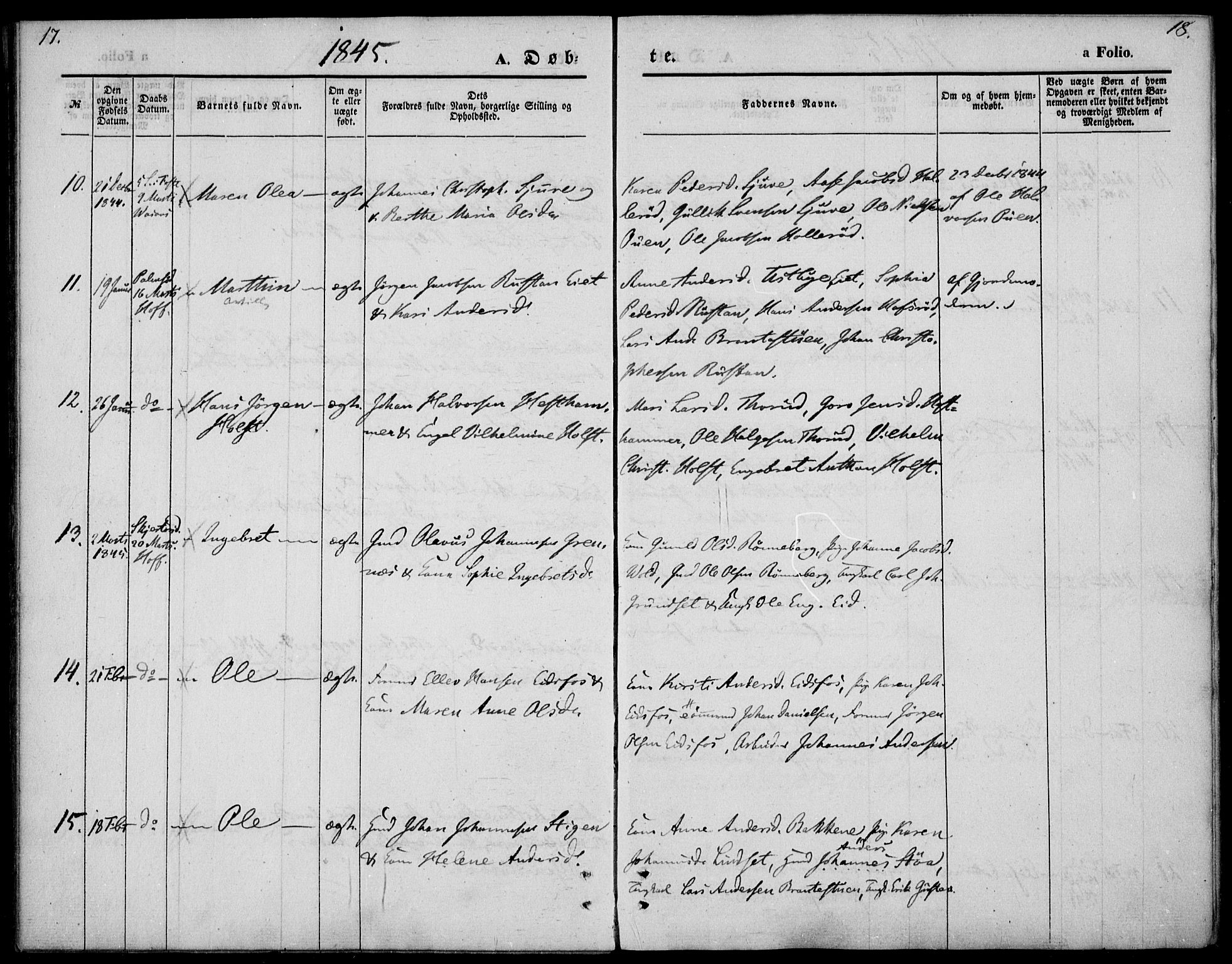 Hof kirkebøker, AV/SAKO-A-64/F/Fa/L0005: Parish register (official) no. I 5, 1844-1851, p. 17-18