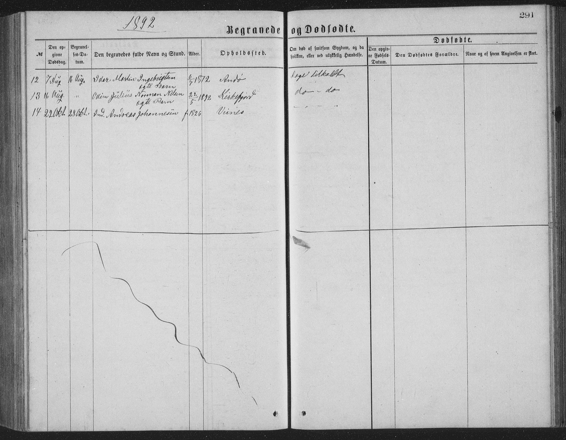 Ministerialprotokoller, klokkerbøker og fødselsregistre - Nordland, AV/SAT-A-1459/886/L1225: Parish register (copy) no. 886C02, 1874-1896, p. 291