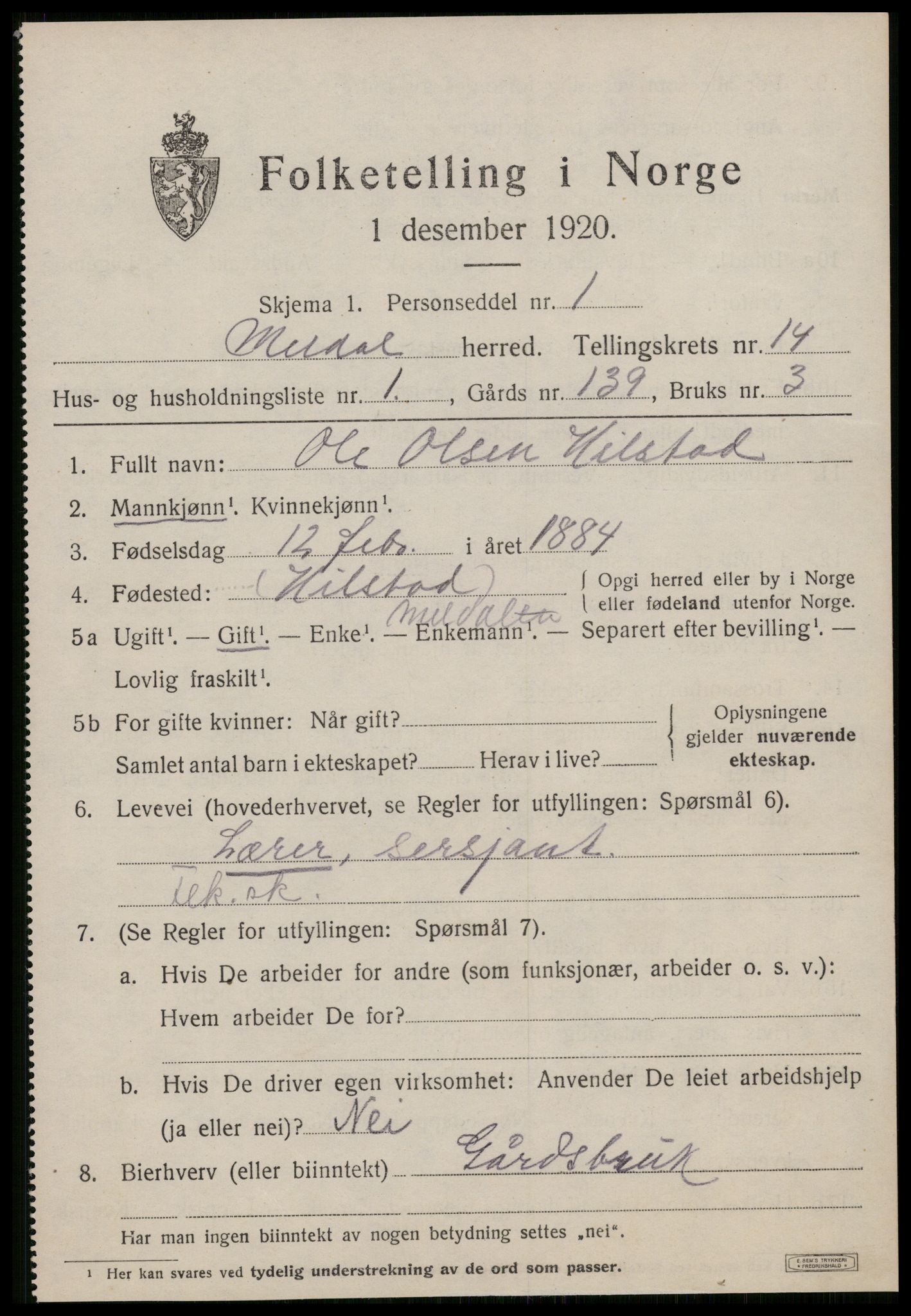 SAT, 1920 census for Meldal, 1920, p. 9999