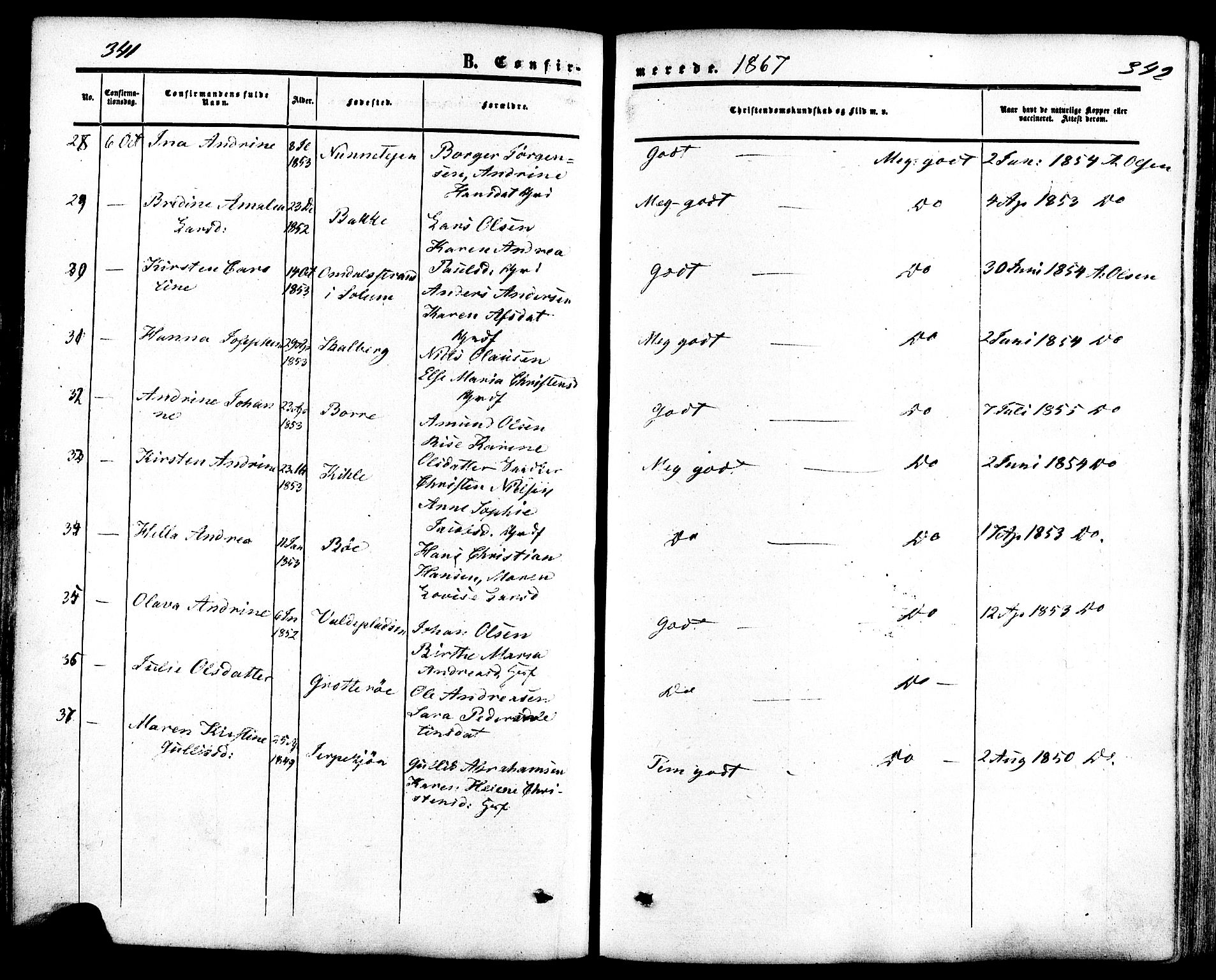 Ramnes kirkebøker, AV/SAKO-A-314/F/Fa/L0006: Parish register (official) no. I 6, 1862-1877, p. 341-342