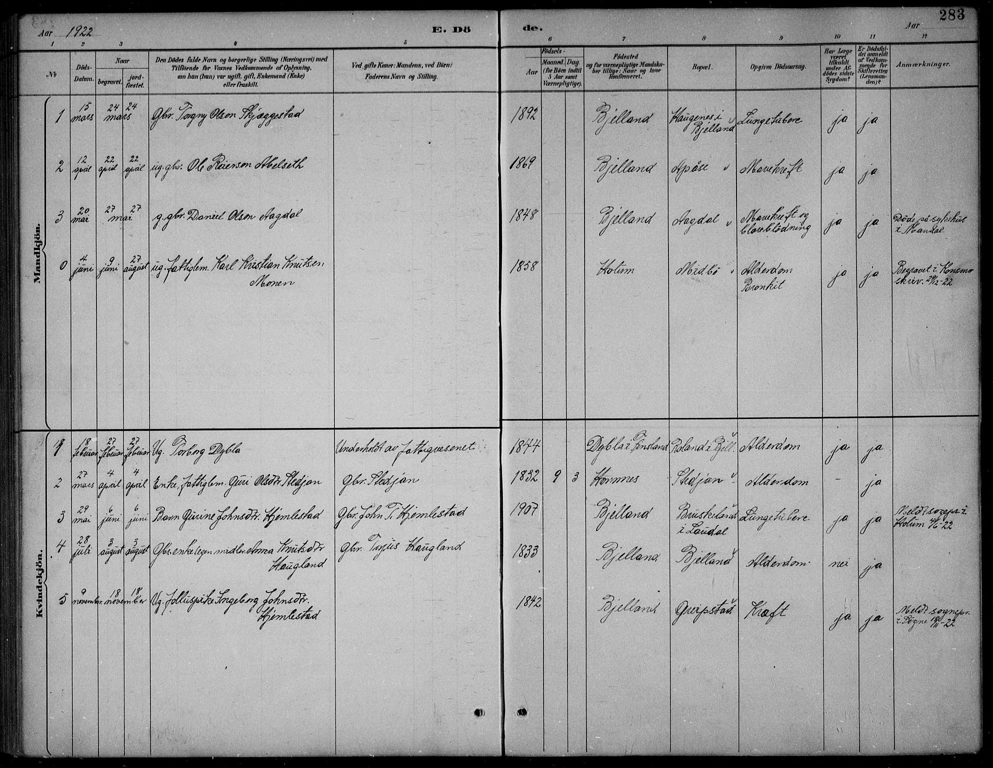 Bjelland sokneprestkontor, SAK/1111-0005/F/Fb/Fba/L0005: Parish register (copy) no. B 5, 1887-1923, p. 283
