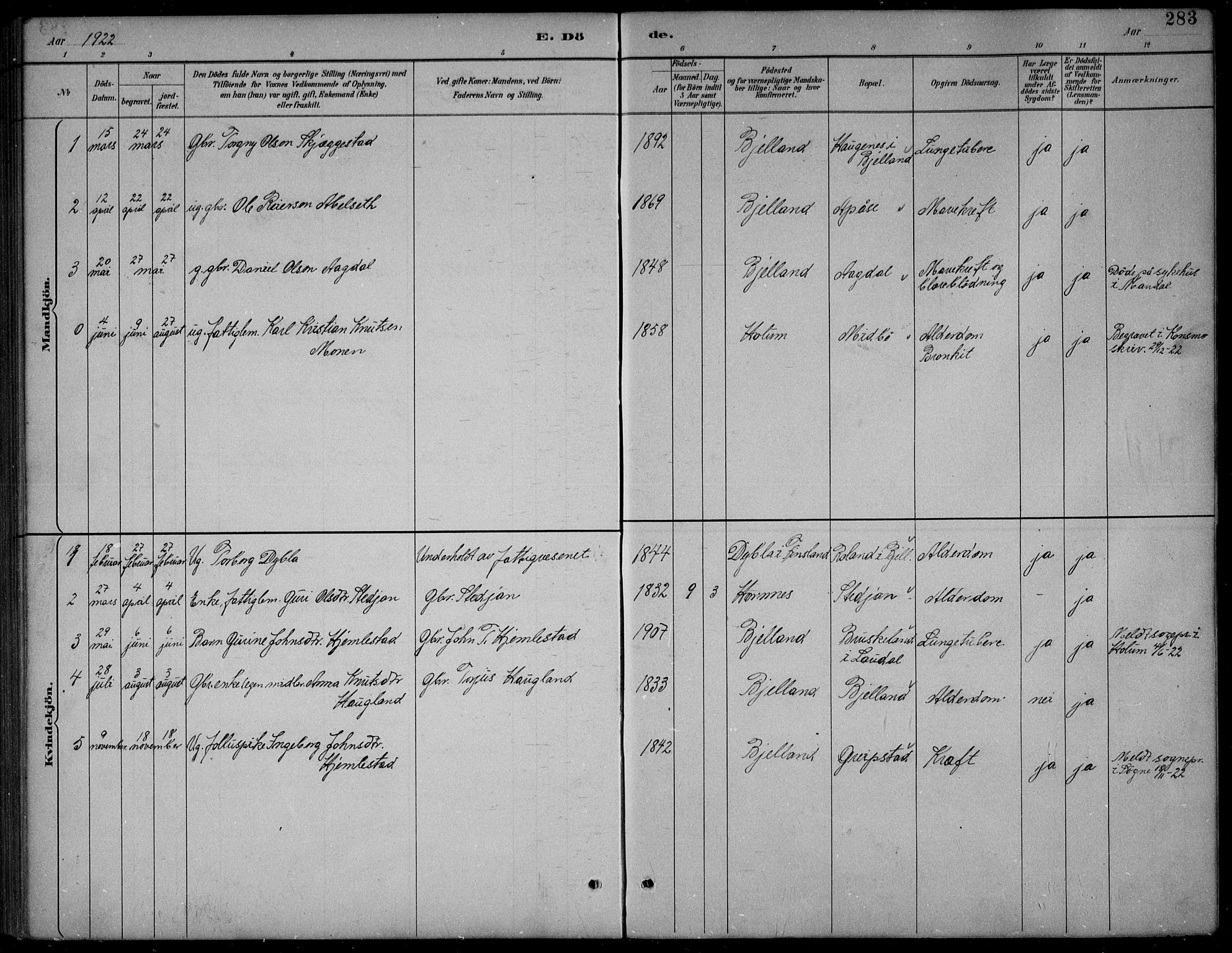 Bjelland sokneprestkontor, AV/SAK-1111-0005/F/Fb/Fba/L0005: Parish register (copy) no. B 5, 1887-1923, p. 283