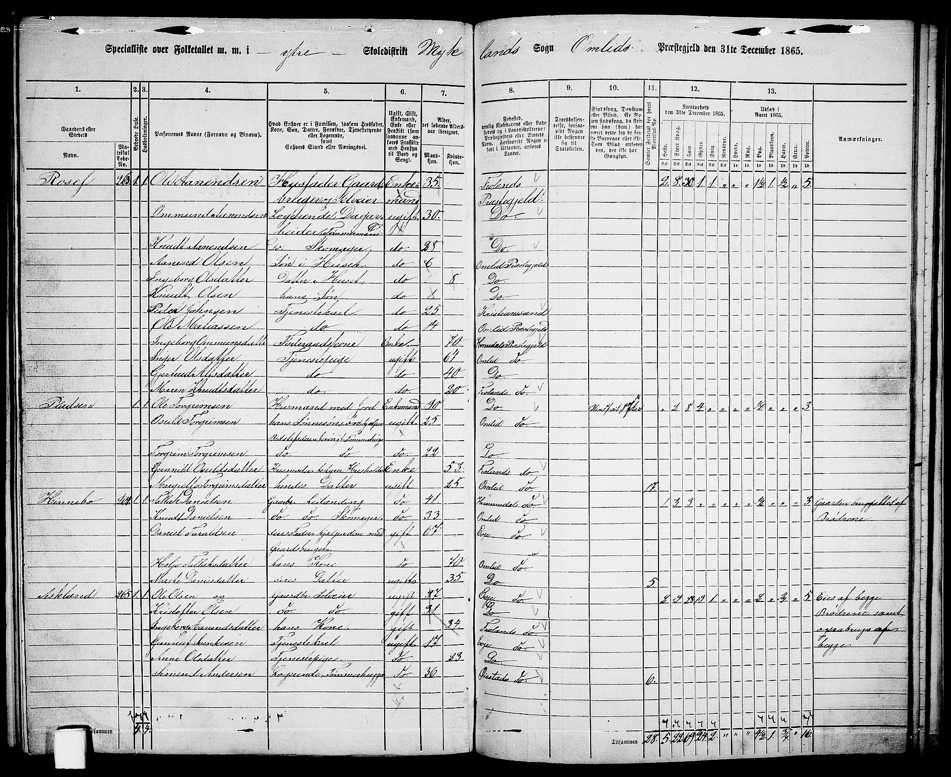 RA, 1865 census for Åmli, 1865, p. 91