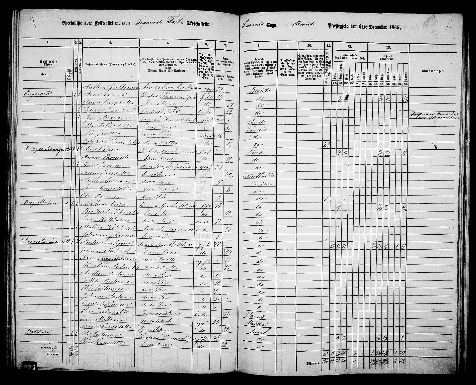 RA, 1865 census for Biri, 1865, p. 177