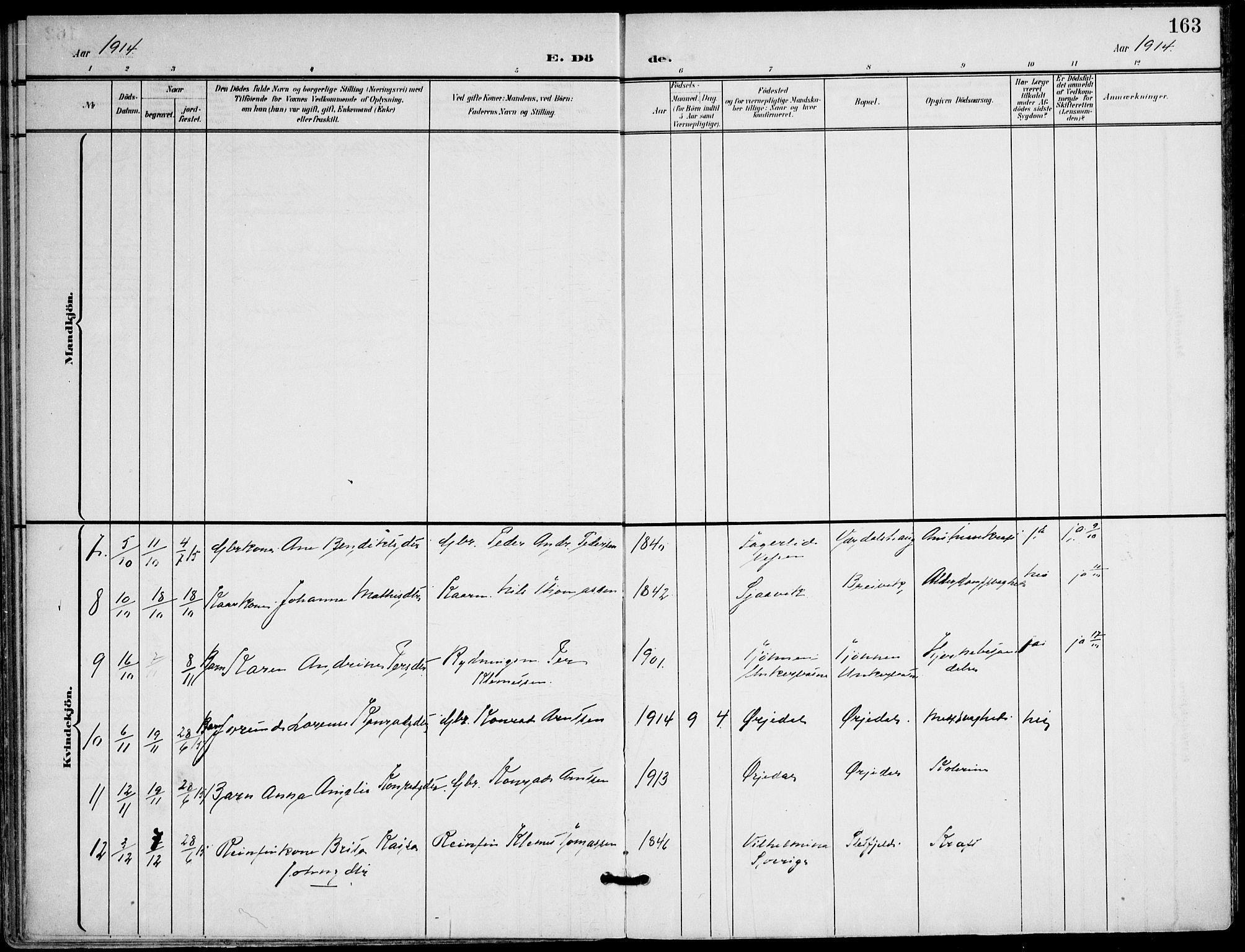 Ministerialprotokoller, klokkerbøker og fødselsregistre - Nordland, AV/SAT-A-1459/823/L0326: Parish register (official) no. 823A03, 1899-1919, p. 163