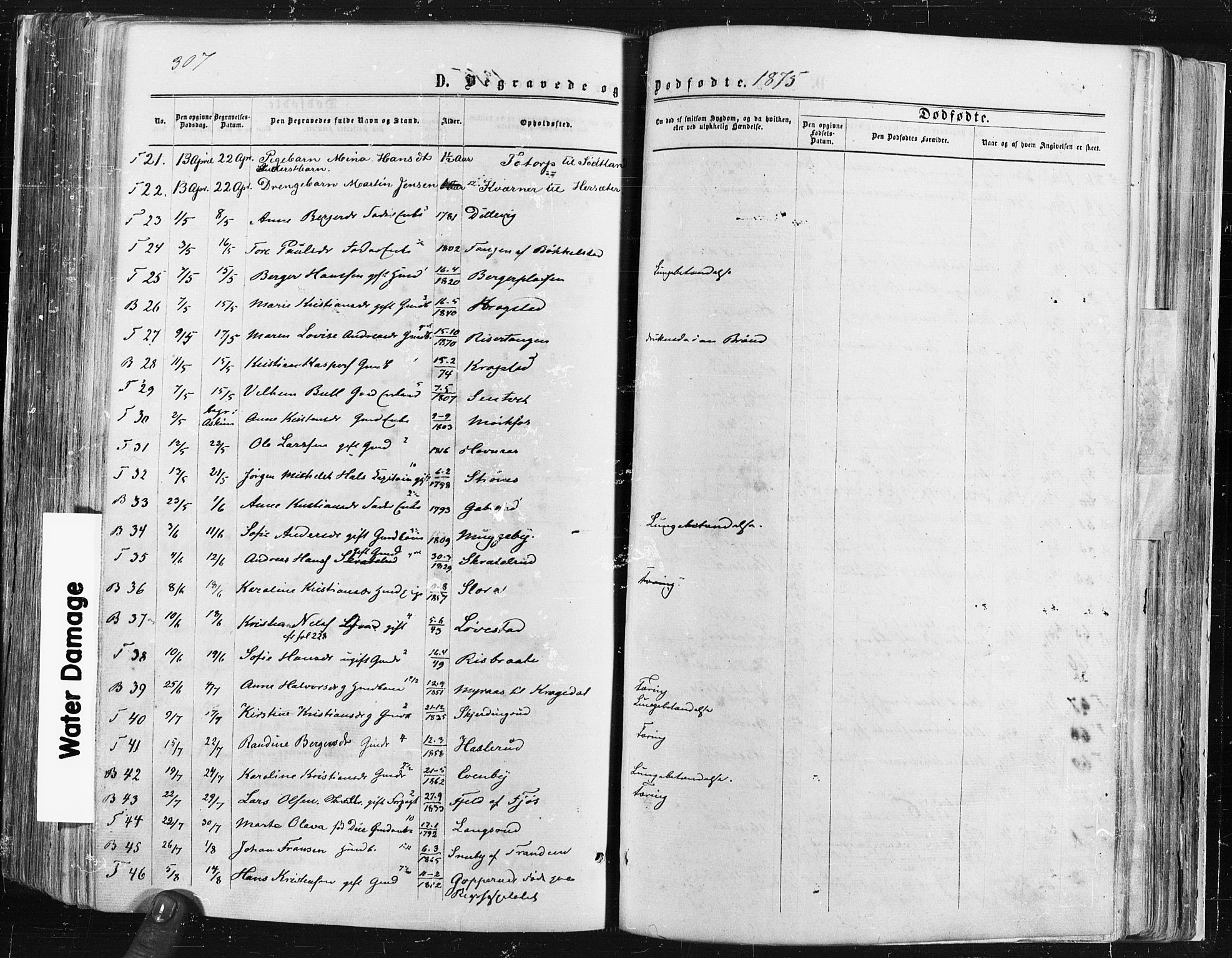 Trøgstad prestekontor Kirkebøker, SAO/A-10925/F/Fa/L0009: Parish register (official) no. I 9, 1865-1877, p. 307