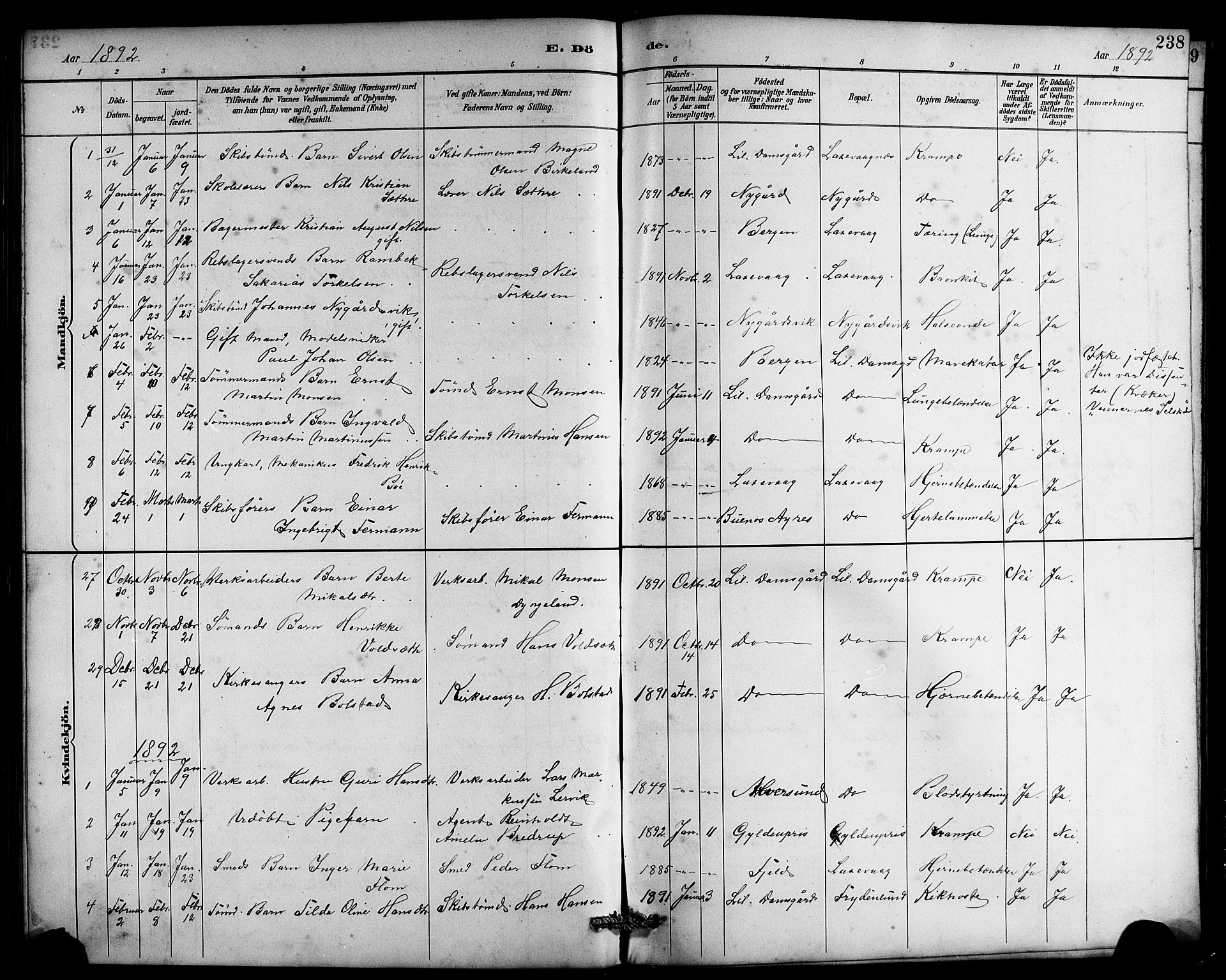 Laksevåg Sokneprestembete, SAB/A-76501/H/Ha/Hab/Haba/L0003: Parish register (copy) no. A 3, 1887-1899, p. 238