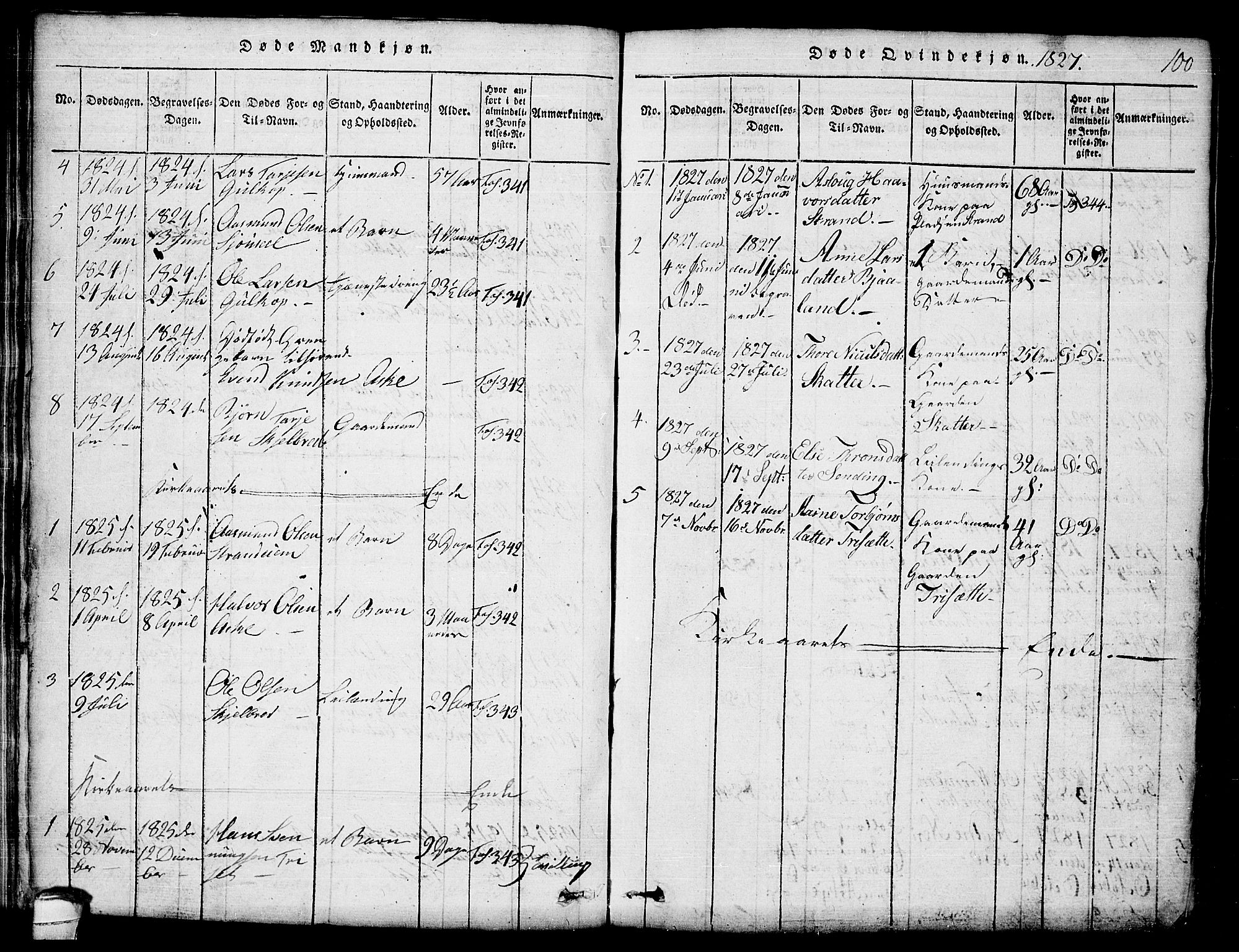 Lårdal kirkebøker, SAKO/A-284/G/Ga/L0001: Parish register (copy) no. I 1, 1815-1861, p. 100