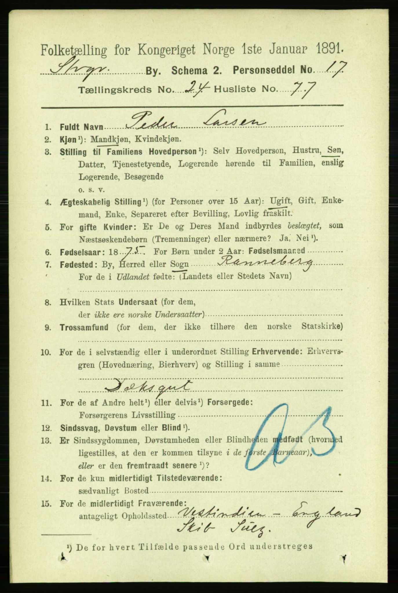 RA, 1891 census for 1103 Stavanger, 1891, p. 27266