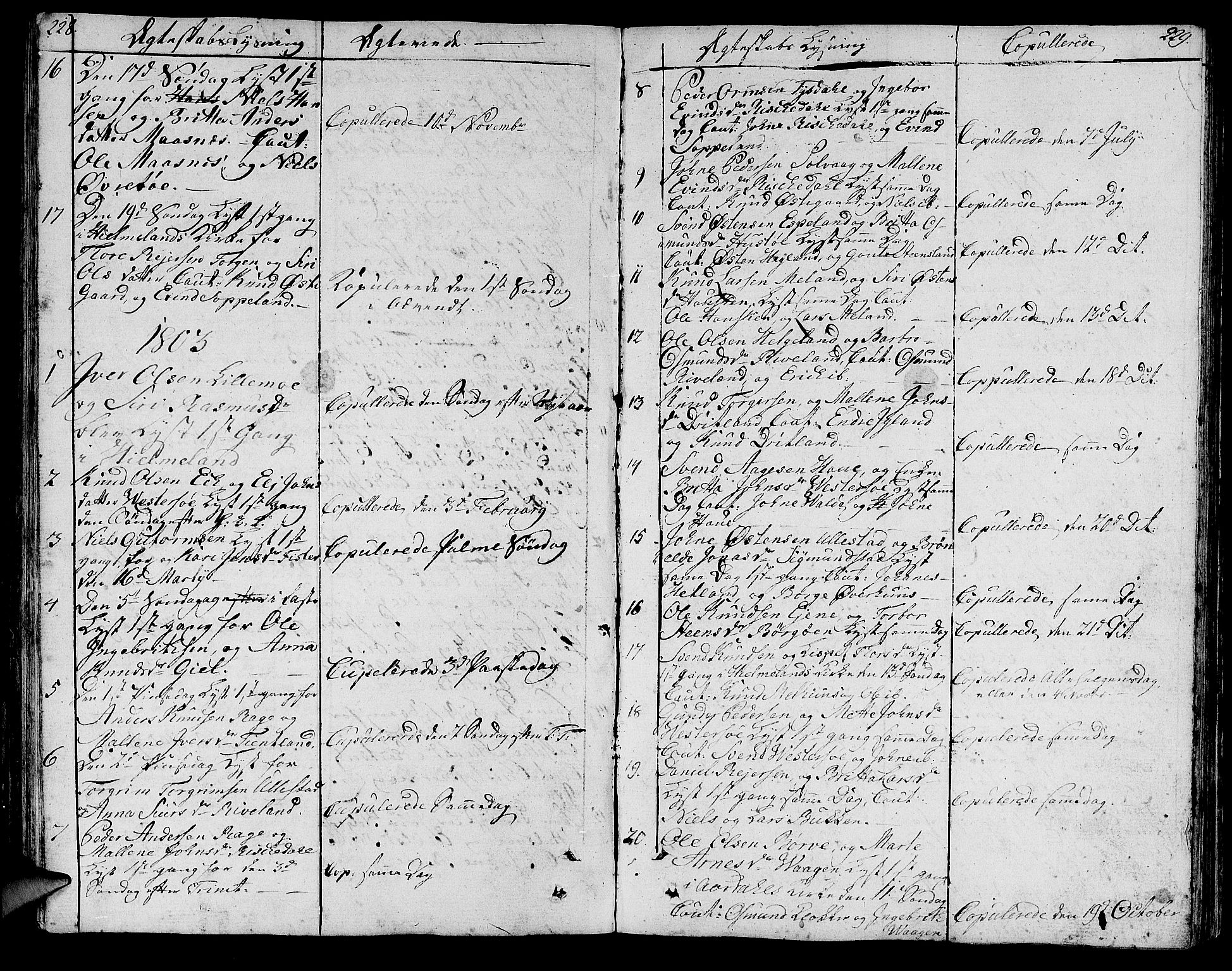 Hjelmeland sokneprestkontor, SAST/A-101843/01/IV/L0002: Parish register (official) no. A 2, 1799-1816, p. 228-229