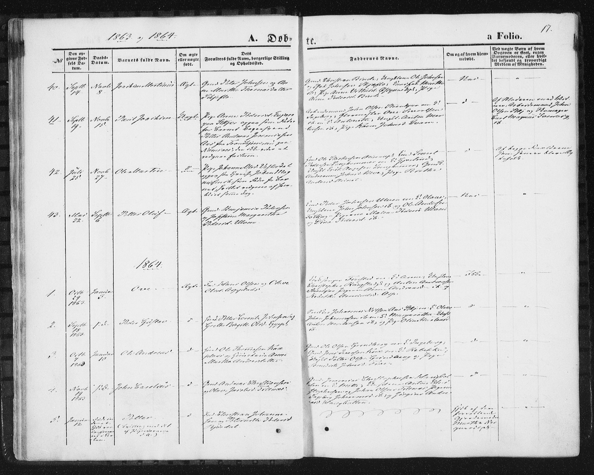 Ministerialprotokoller, klokkerbøker og fødselsregistre - Nord-Trøndelag, SAT/A-1458/746/L0447: Parish register (official) no. 746A06, 1860-1877, p. 17