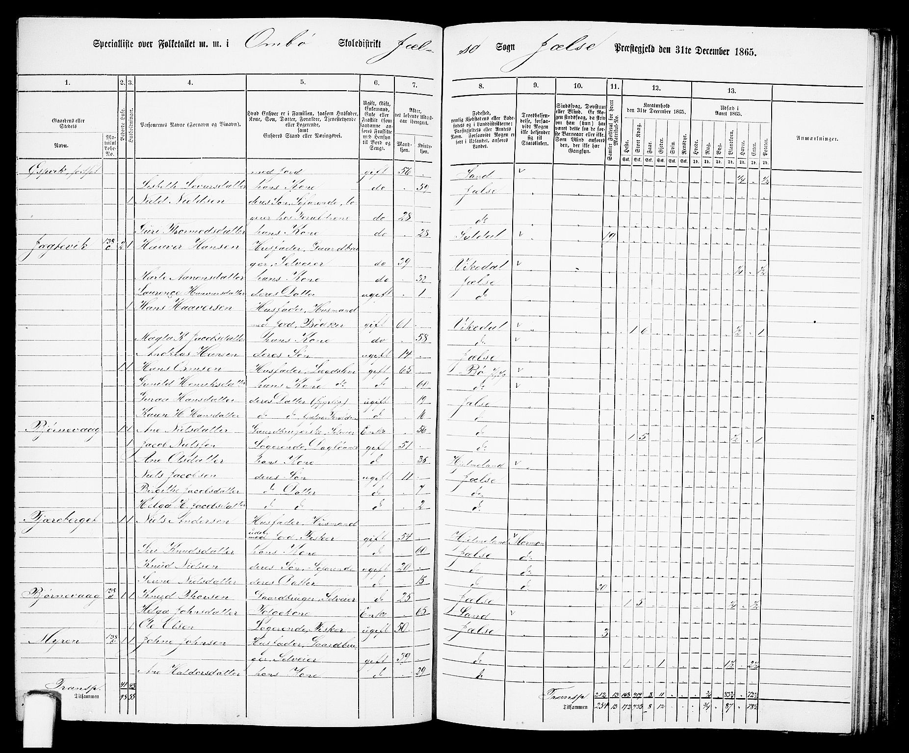 RA, 1865 census for Jelsa, 1865, p. 72