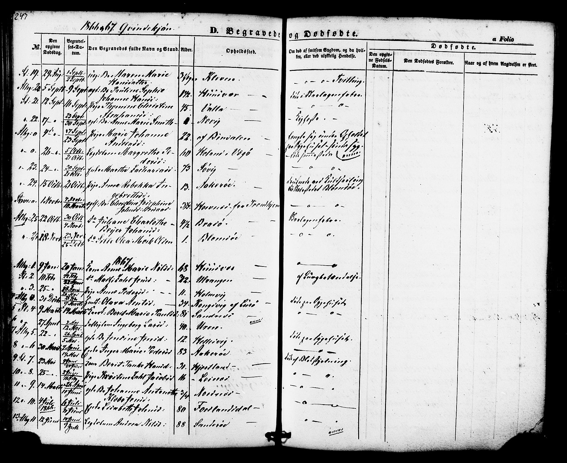 Ministerialprotokoller, klokkerbøker og fødselsregistre - Nordland, AV/SAT-A-1459/830/L0448: Parish register (official) no. 830A12, 1855-1878, p. 243