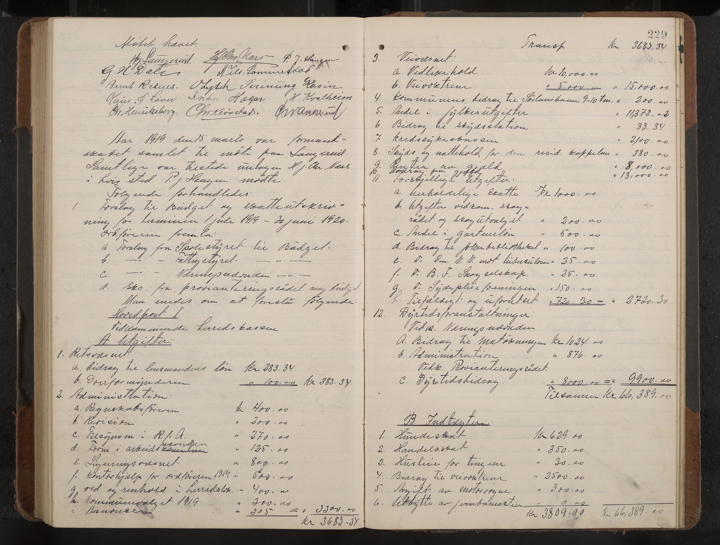 Øvre Sandsvær formannskap og sentraladministrasjon, IKAK/0630021/A/L0002: Møtebok med register, 1914-1919, p. 229