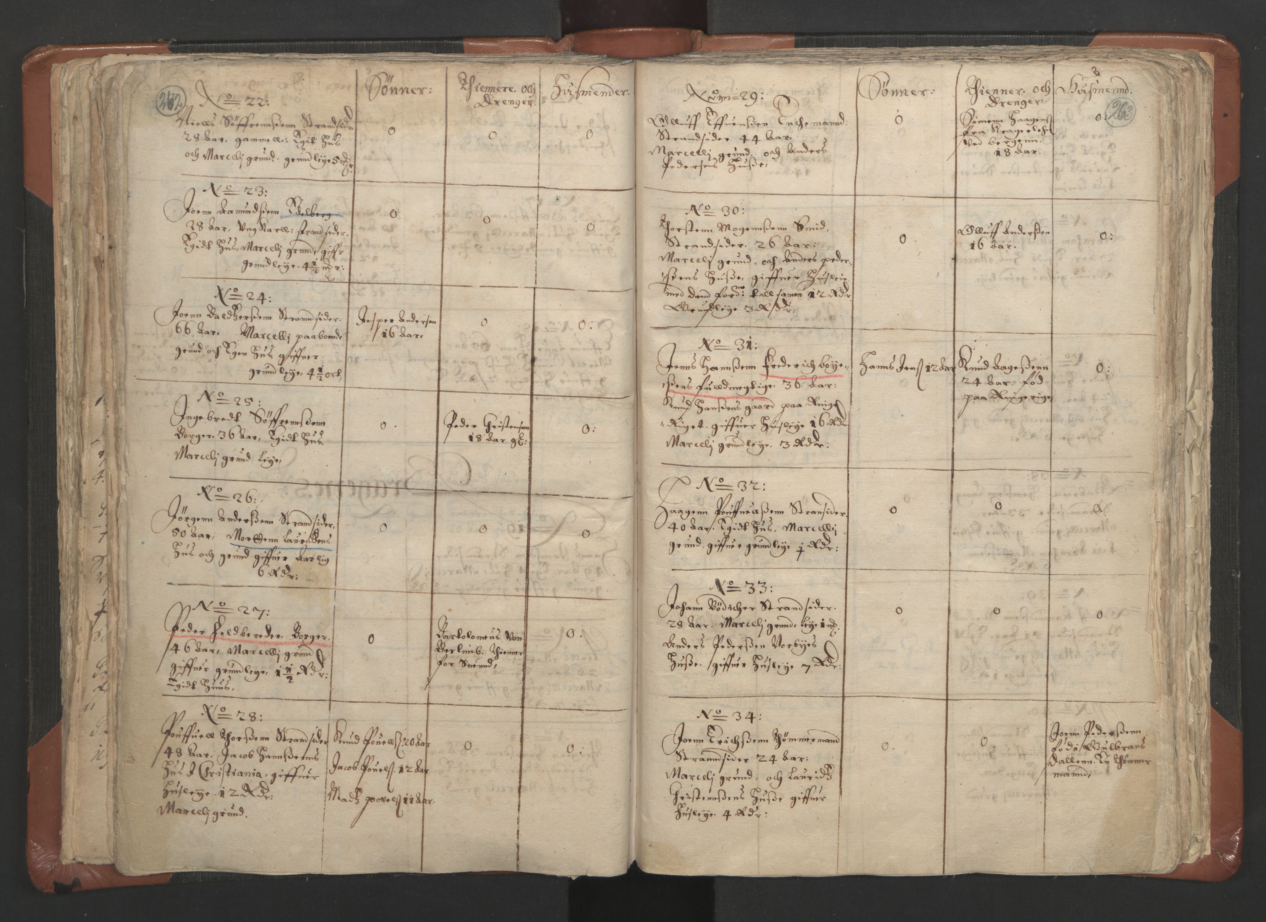 RA, Vicar's Census 1664-1666, no. 9: Bragernes deanery, 1664-1666, p. 262-263