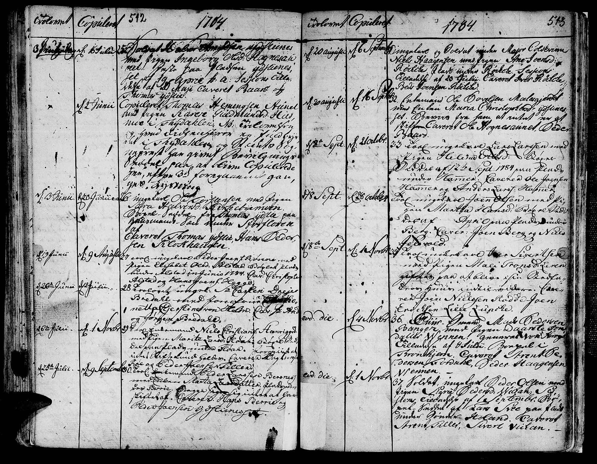 Ministerialprotokoller, klokkerbøker og fødselsregistre - Nord-Trøndelag, AV/SAT-A-1458/709/L0059: Parish register (official) no. 709A06, 1781-1797, p. 512-513