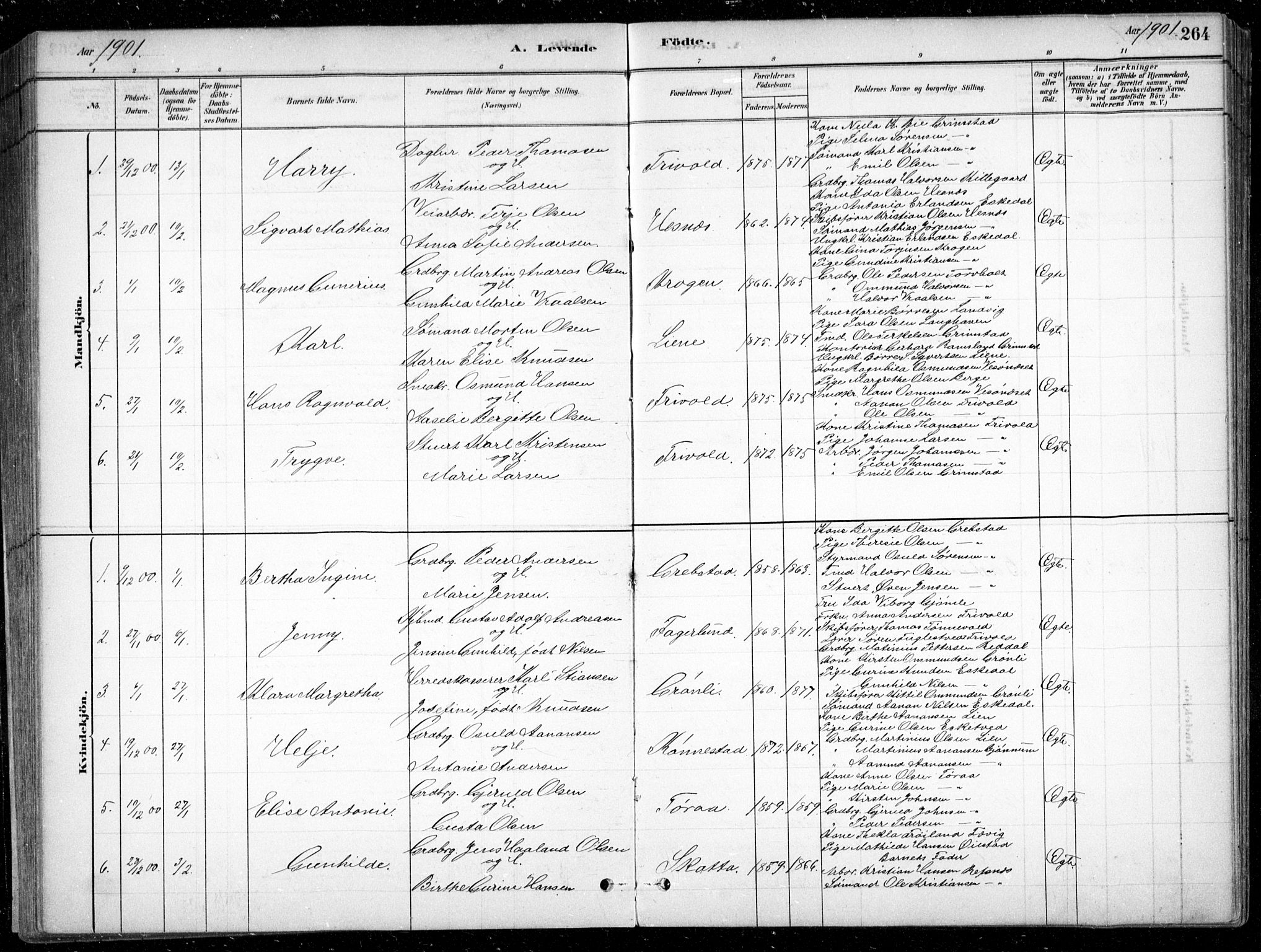 Fjære sokneprestkontor, SAK/1111-0011/F/Fb/L0011: Parish register (copy) no. B 11, 1881-1905, p. 264