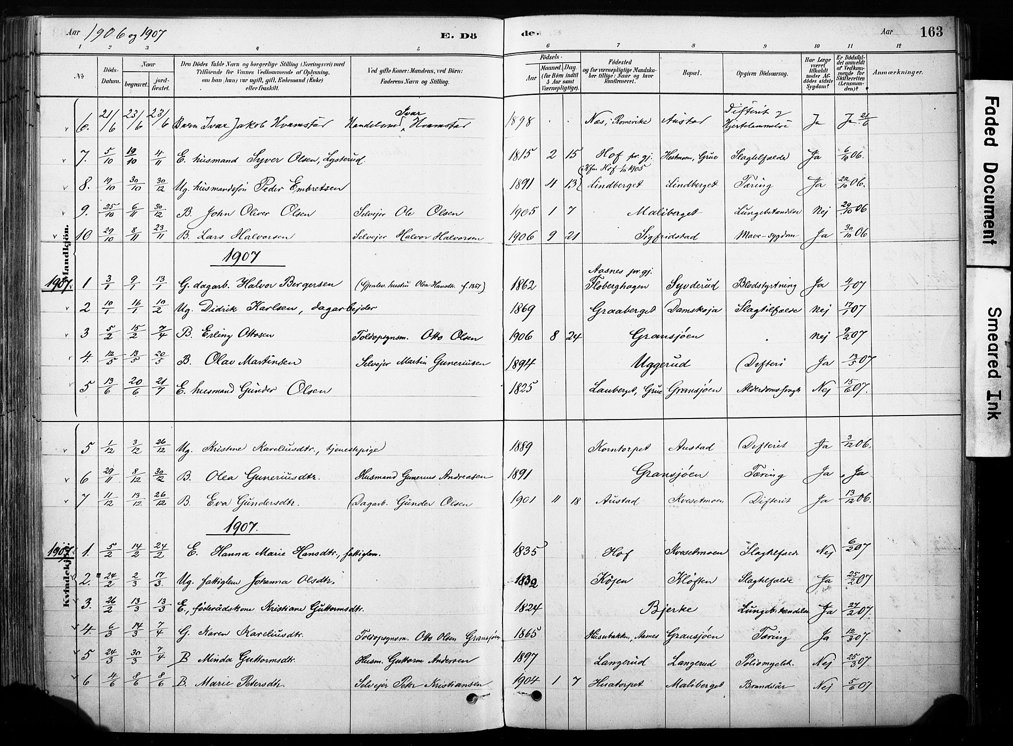 Hof prestekontor, AV/SAH-PREST-038/H/Ha/Haa/L0011: Parish register (official) no. 11, 1879-1911, p. 163