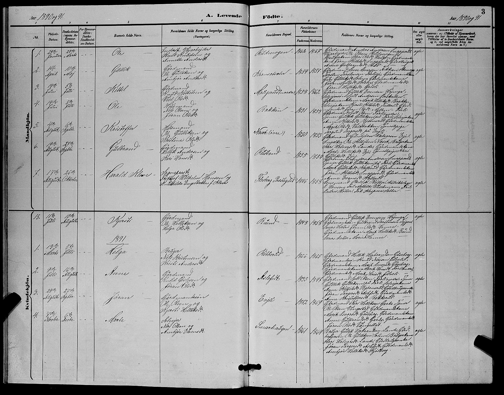 Flesberg kirkebøker, SAKO/A-18/G/Ga/L0004: Parish register (copy) no. I 4 /1, 1890-1898, p. 3
